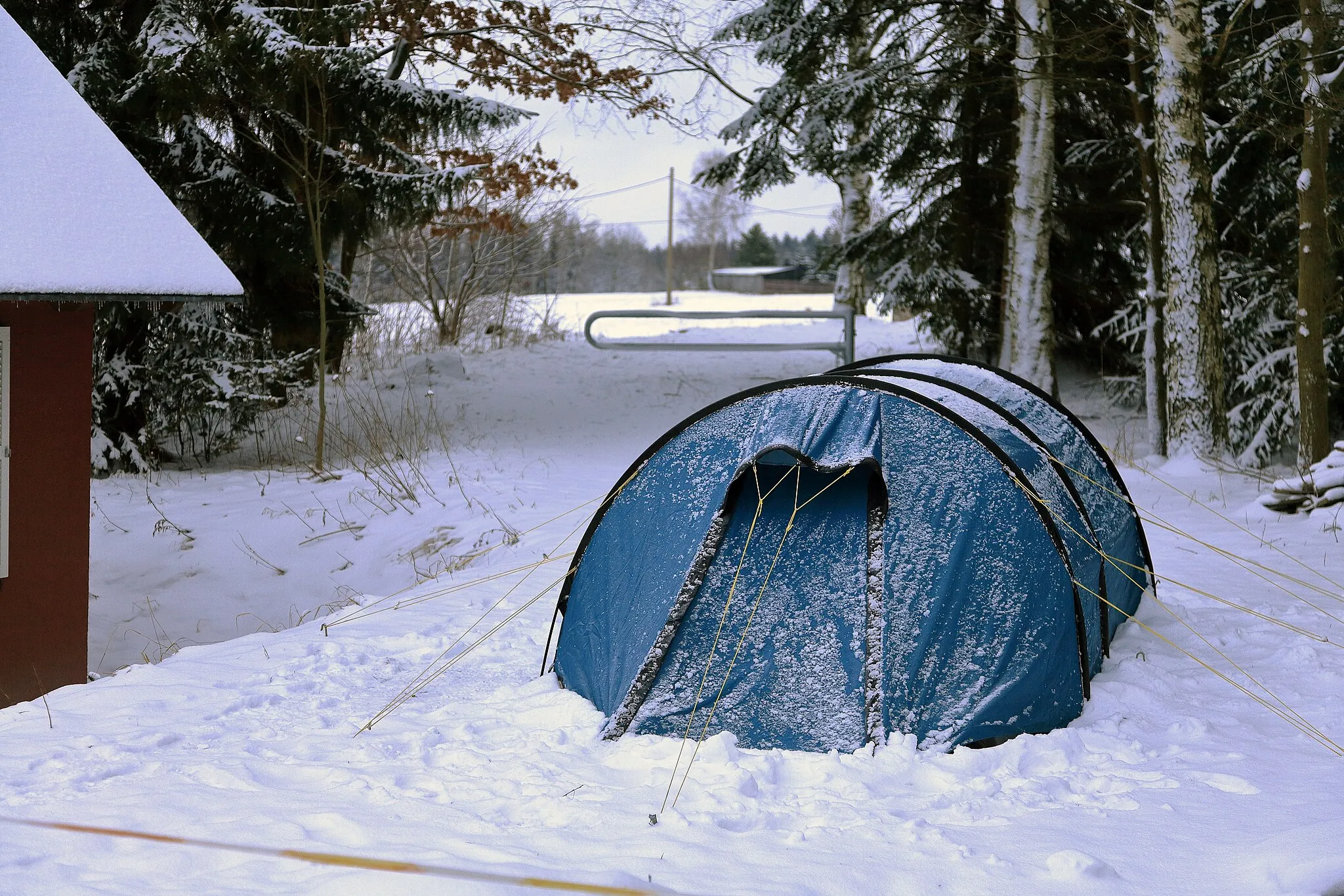 Photo showing: … im Naturschutzzentrum Dörfel, Gemeinde Schlettau. Winterfeste Unterkünfte gibt es hier auch.