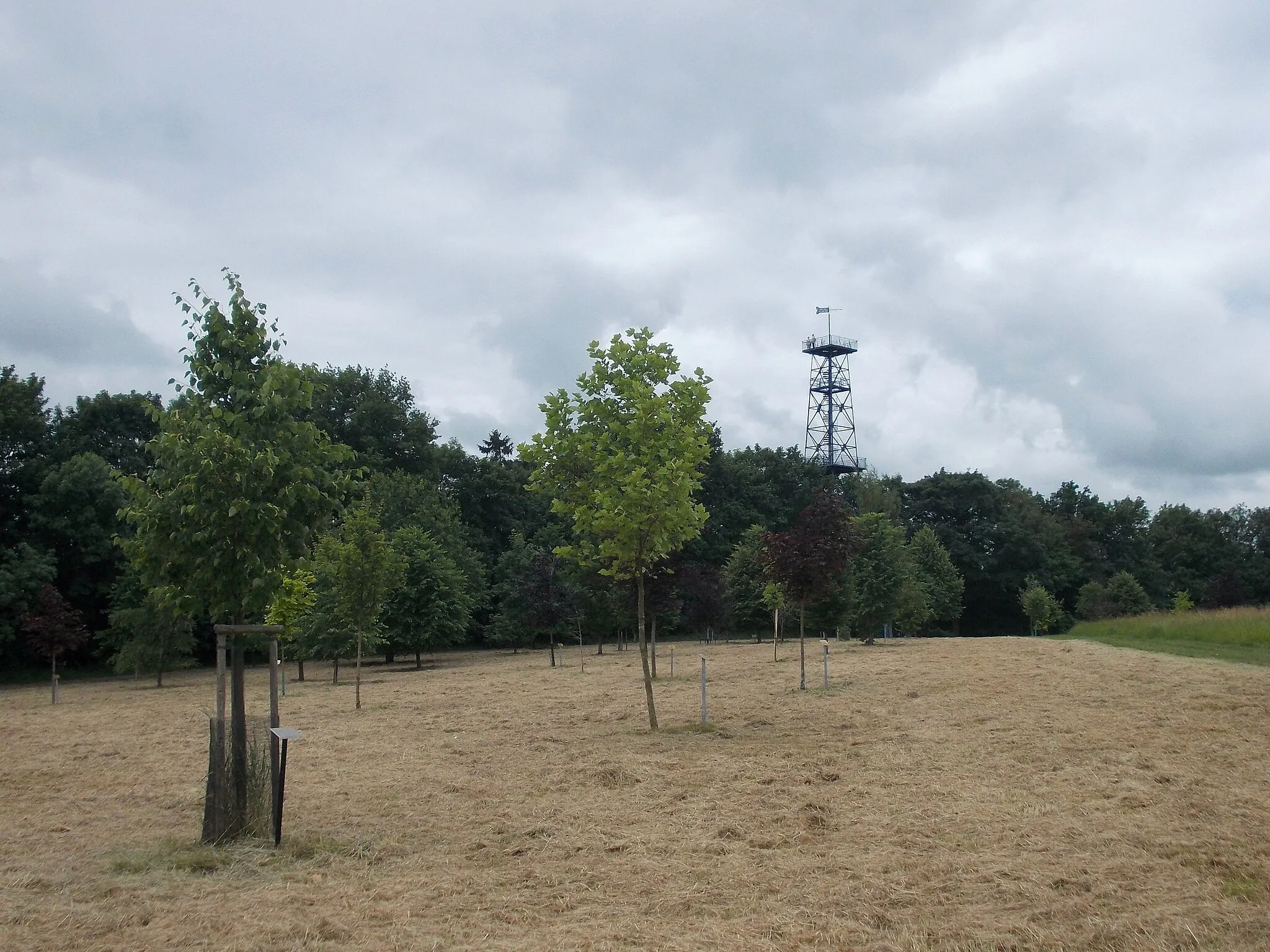 Photo showing: At the Ernst Agnes Tower in Schmölln (Altenburger Land district, Thuringia)