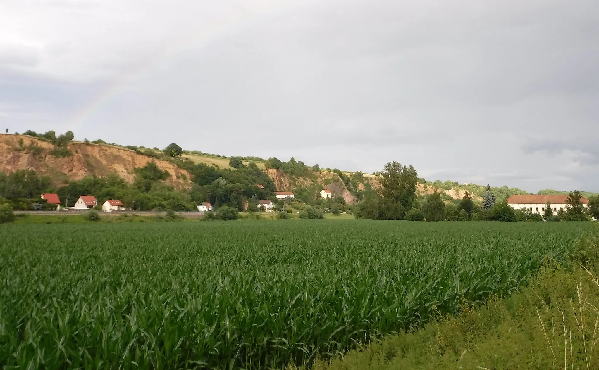 Photo showing: Einzelgebiet 5 "Elbhänge bei Karpfenschänke" des Fauna-Flora-Habitat-Gebiets "Bosel und Elbhänge nördlich Meißen", Blick aus Keilbusch, 01665 Diera-Zehren