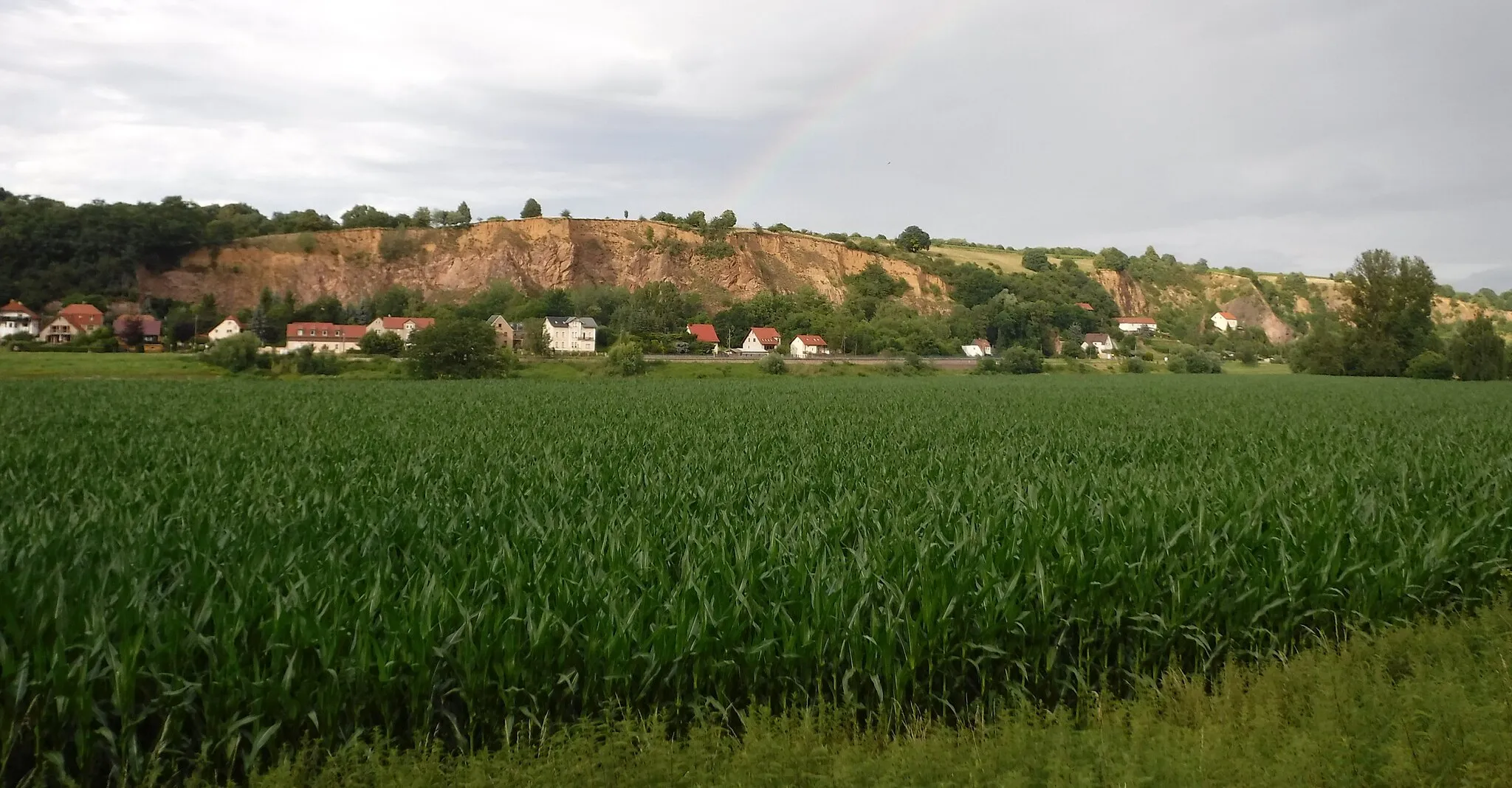 Photo showing: Einzelgebiet 5 "Elbhänge bei Karpfenschänke" des Fauna-Flora-Habitat-Gebiets "Bosel und Elbhänge nördlich Meißen", Blick aus Keilbusch, 01665 Diera-Zehren