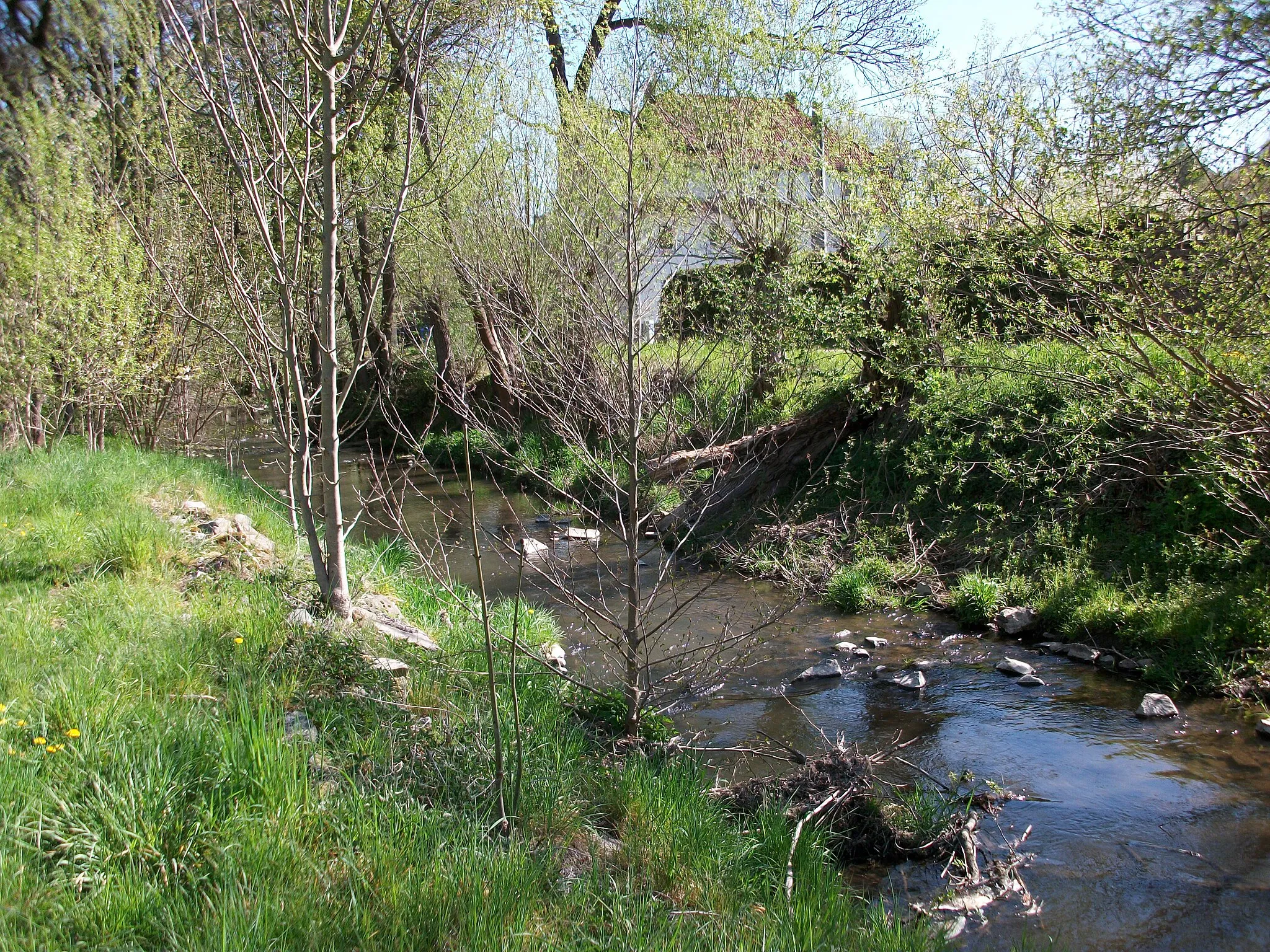 Photo showing: Herrnsdorf-Bräunsdorfer Bach in Herrnsdorf