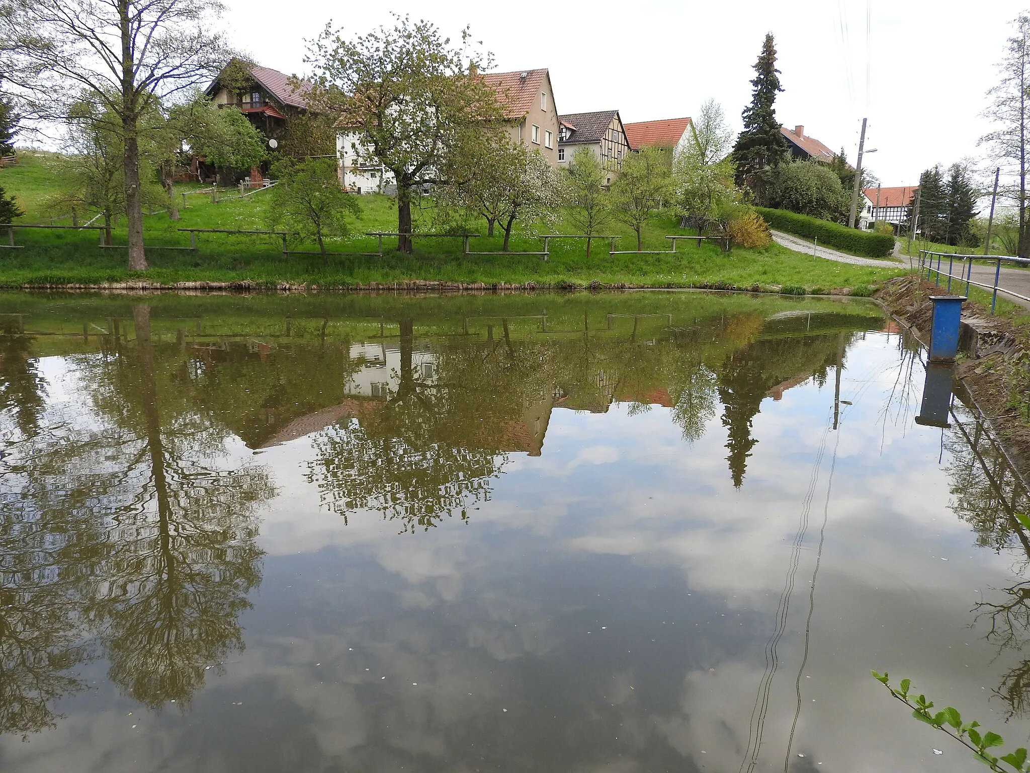 Photo showing: Teich in Letzendorf, Thüringen