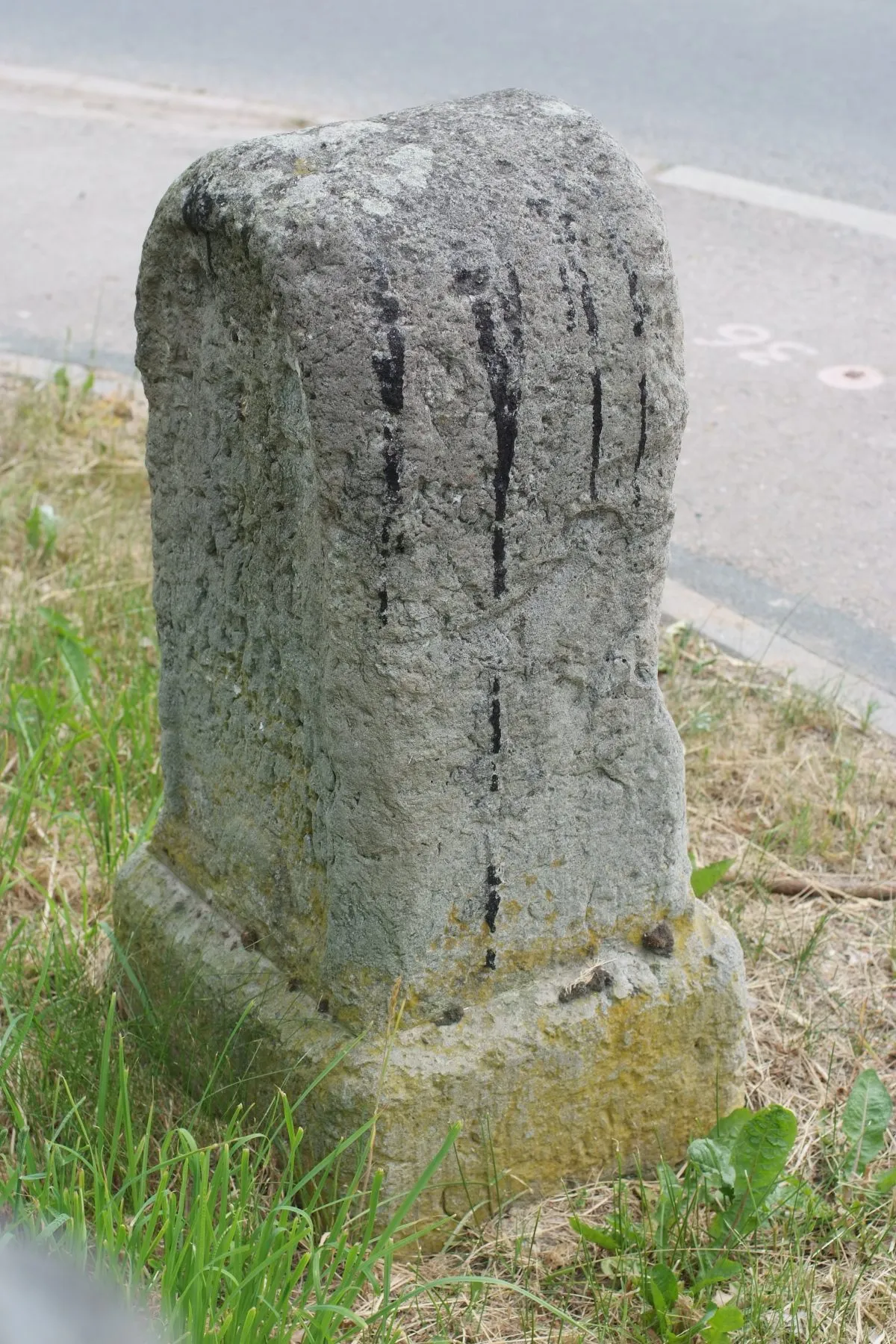 Photo showing: Kgl.-sächs. Meilenstein in Dolsenhain