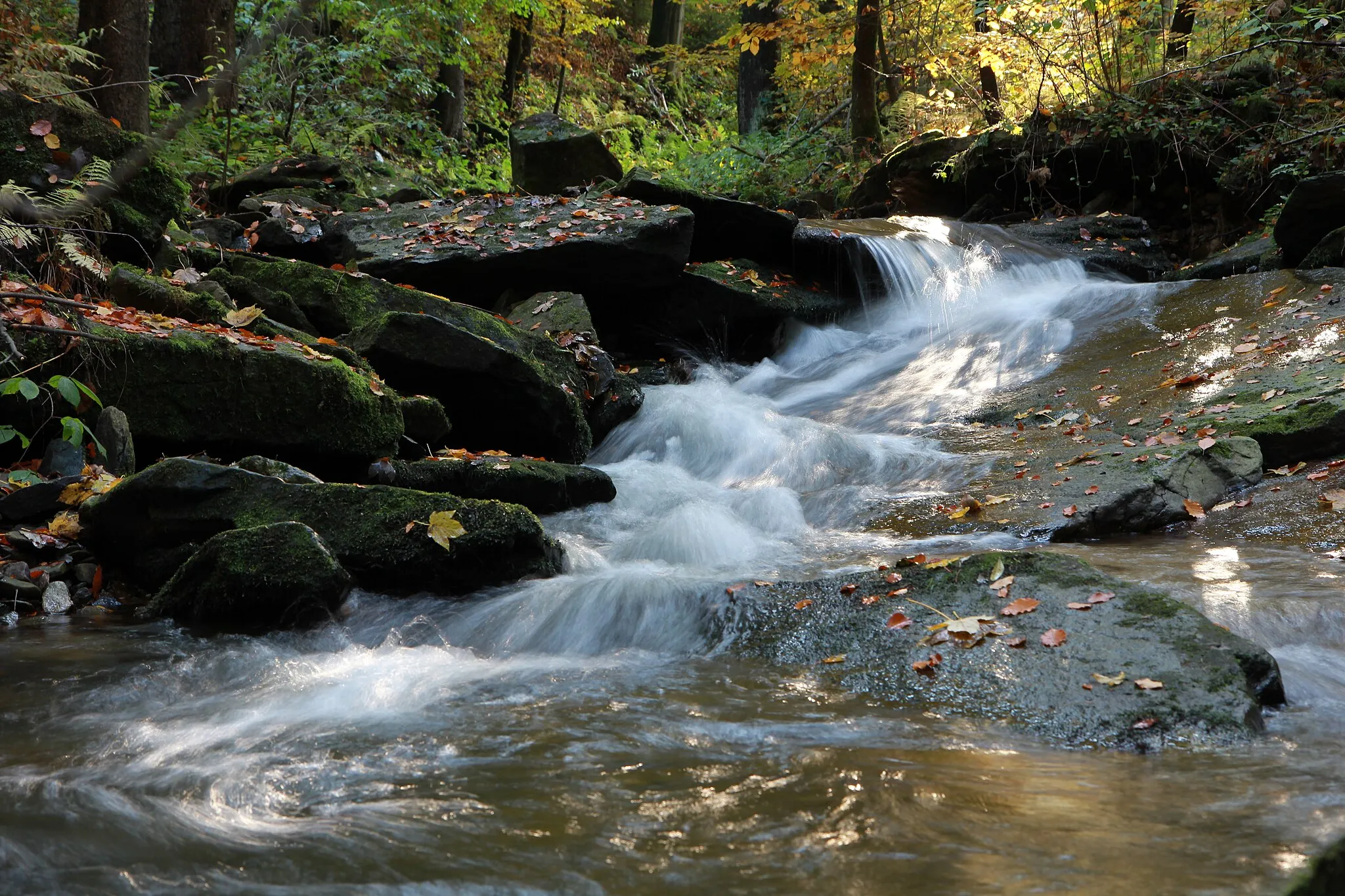 Photo showing: Der Lauterbach vor seiner Einmündung in die Schwarze Pockau