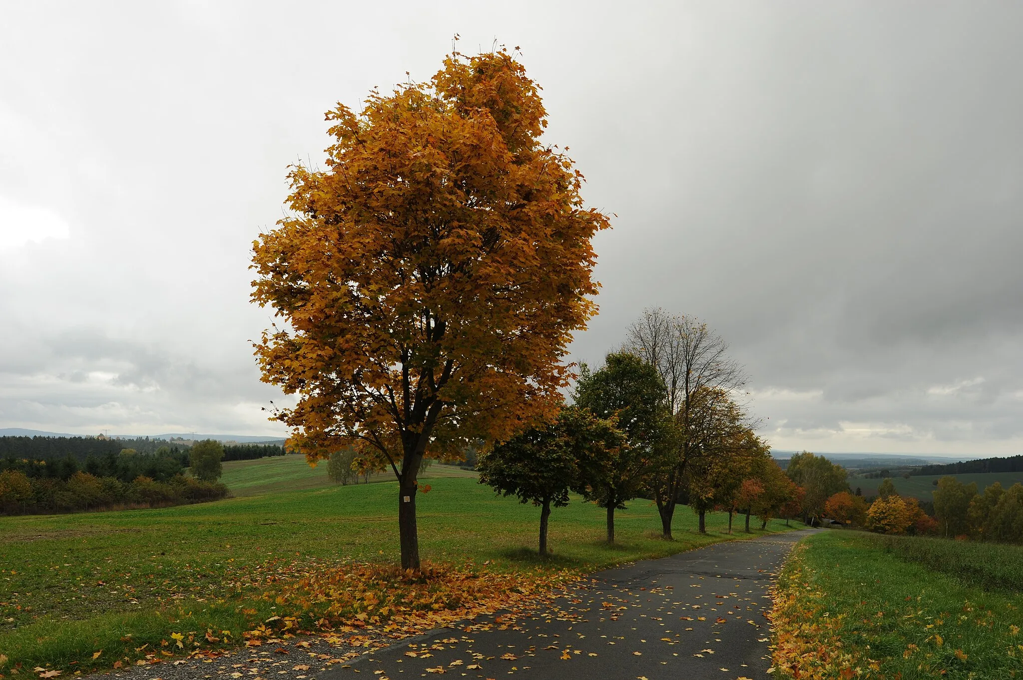 Photo showing: Schöneck/Vogtl. OT Gunzen: Blick vom Zwotaer Weg in Richtung Gunzen (Vogtlandkreis, Freistaat Sachsen, Deutschland)