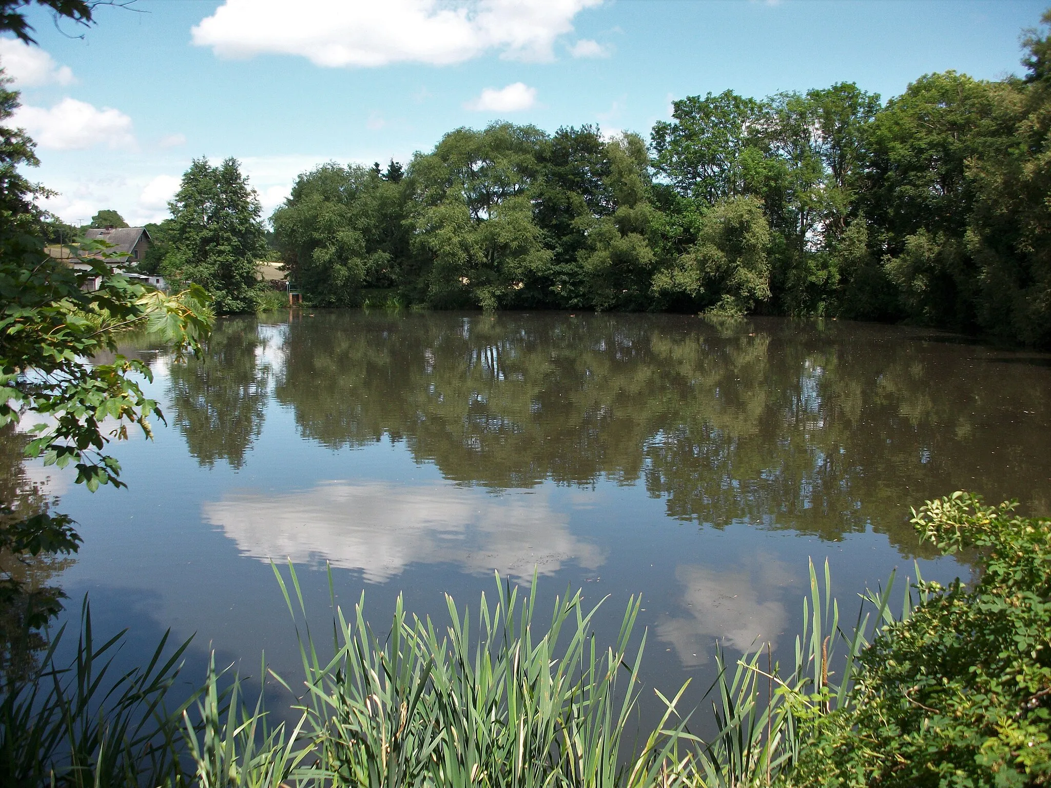 Photo showing: Schloßteich Heinersgrün