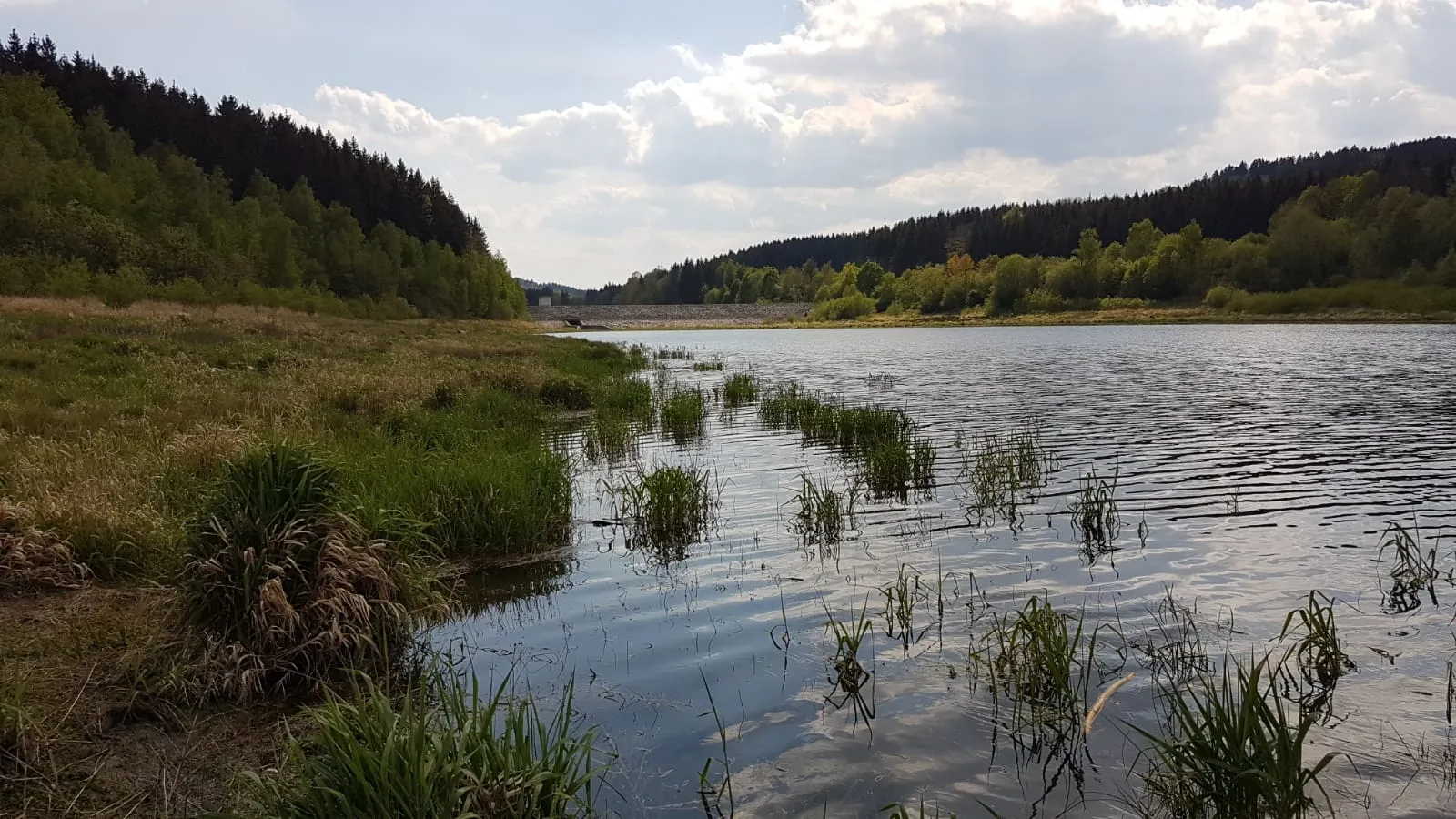 Photo showing: Talsperre Dröda,auch Feilebachtalsperre genannt,  mit Blick auf den Staudamm zwischen der Vorsperre und der Hauptsperre 
in der Nähe des ehemaligen Ortes Ramoldsreuth