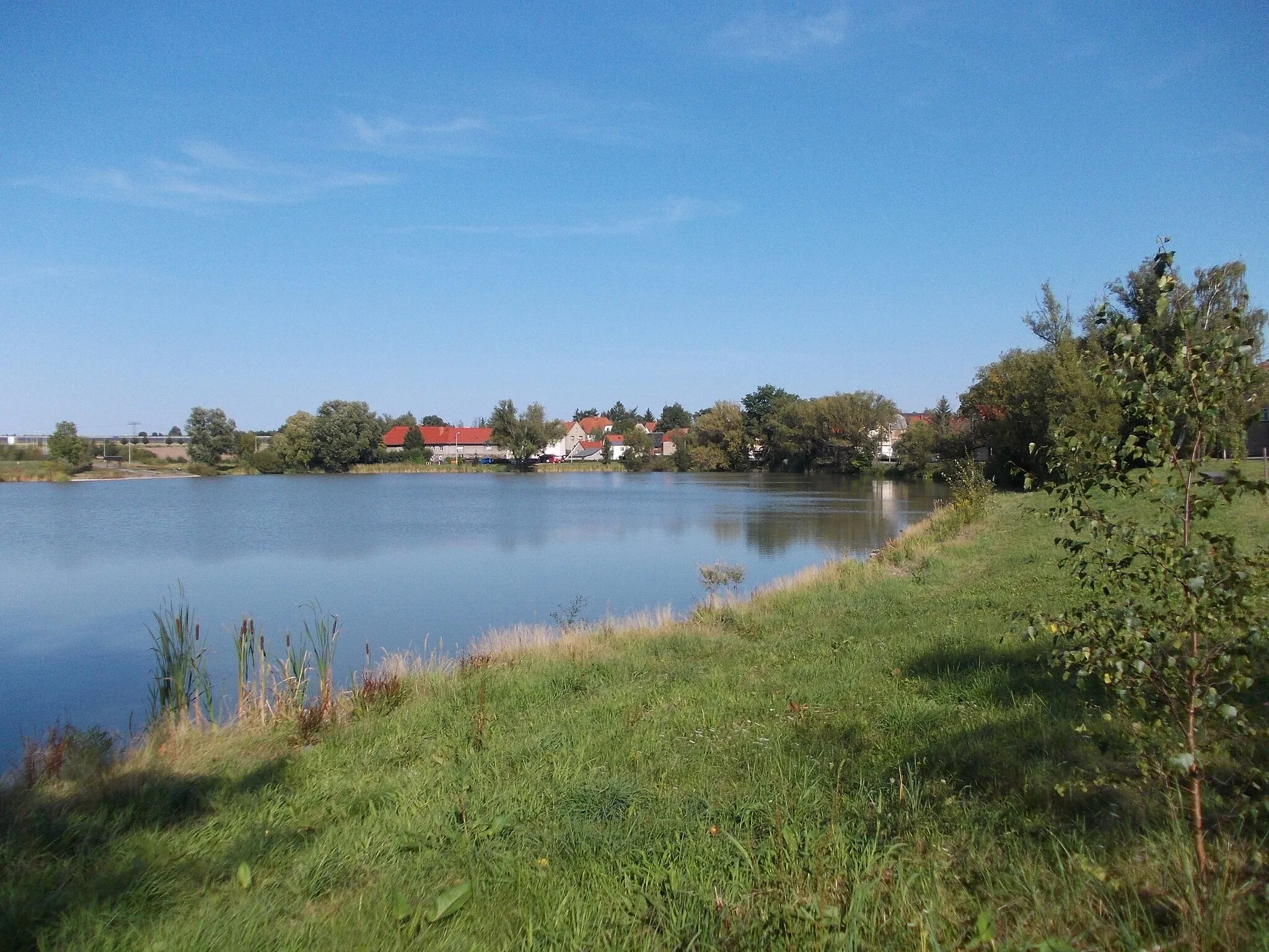 Photo showing: Pond at the western edge of Raitzhain (Ronneburg, Greiz district, Thuringia)