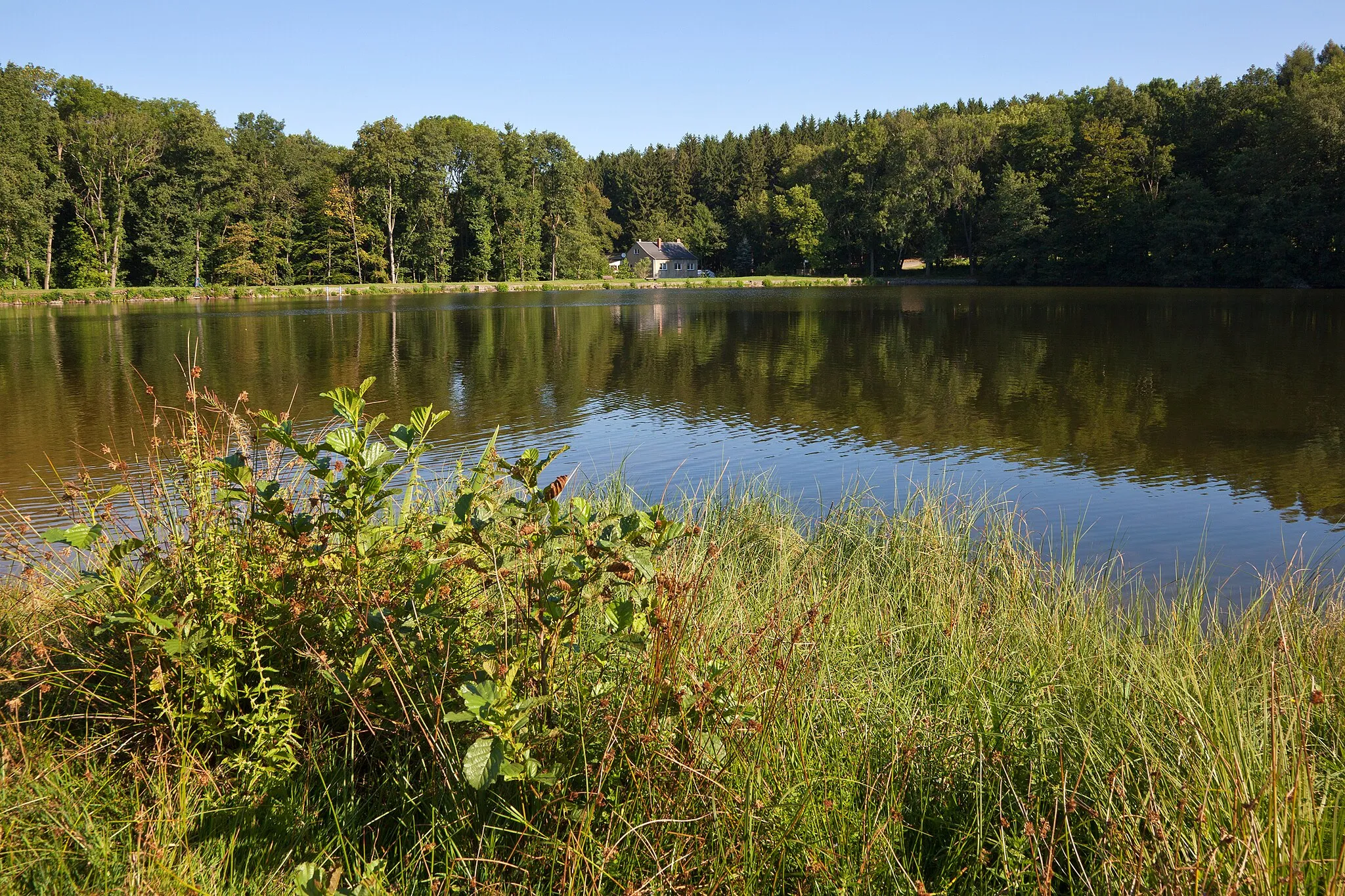 Photo showing: Langenau (Brand-Erbisdorf), Lake Unterer Pochwerkteich