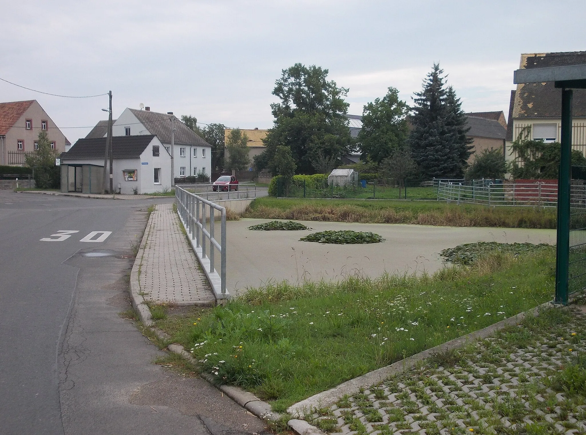 Photo showing: Pond in Kleinbothen (Grimma, Leipzig district, Saxony)