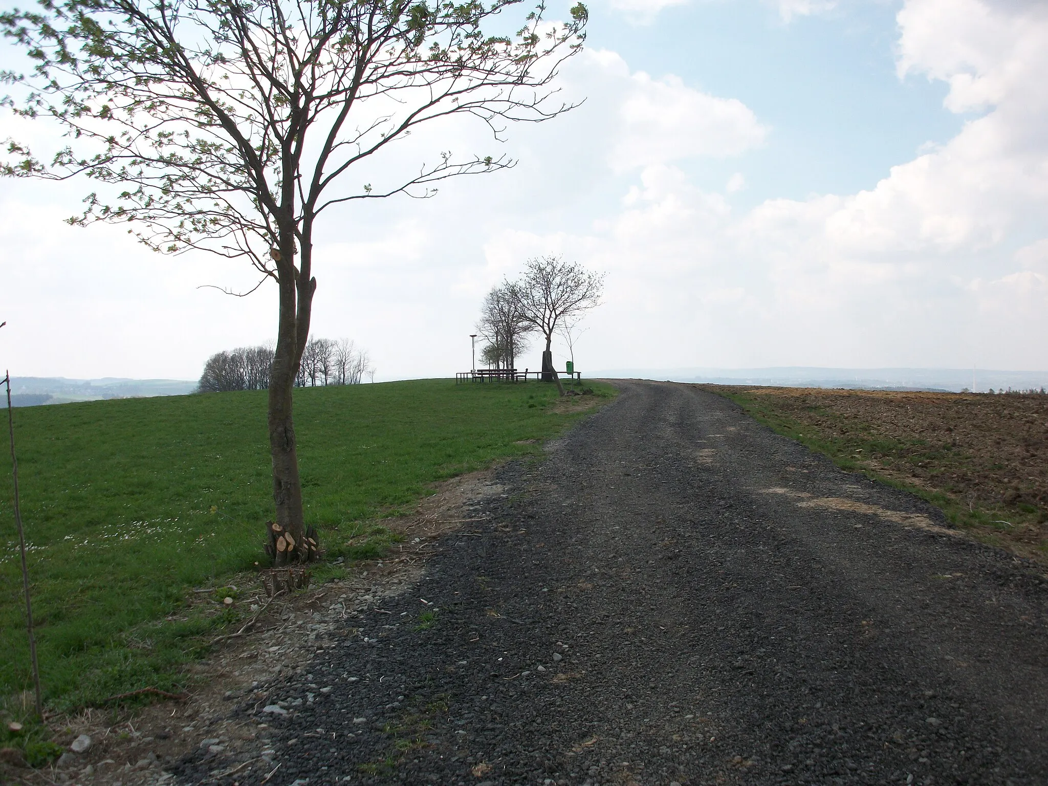 Photo showing: Dittersdorfer Höhe mit Kgl.-sächs. Triangulirung, Station 91