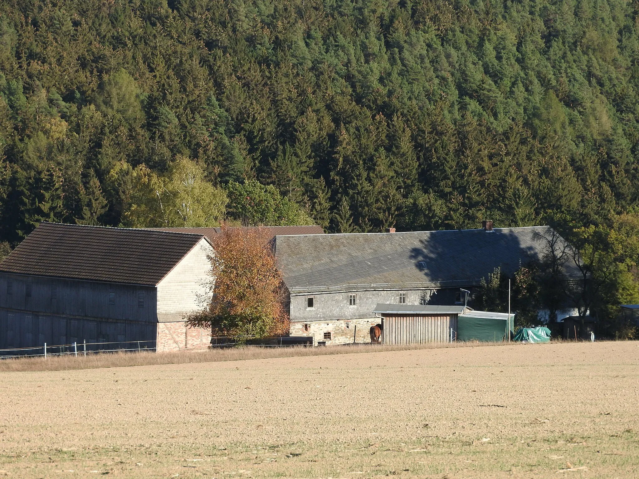 Photo showing: Häuser in Tremnitz, Greiz in Thüringen