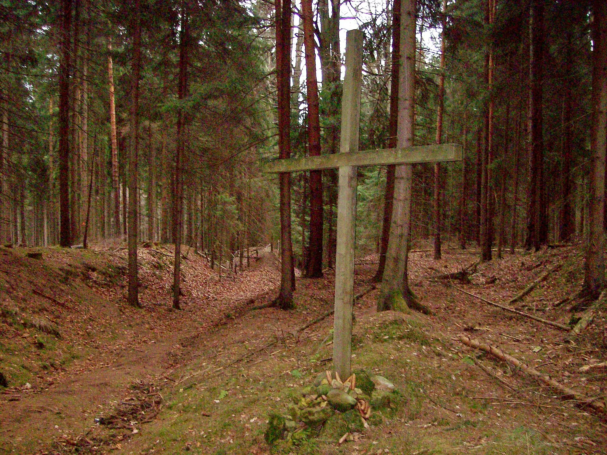 Photo showing: Pilgerkreuz am Jakobsweg im Tharandter Wald