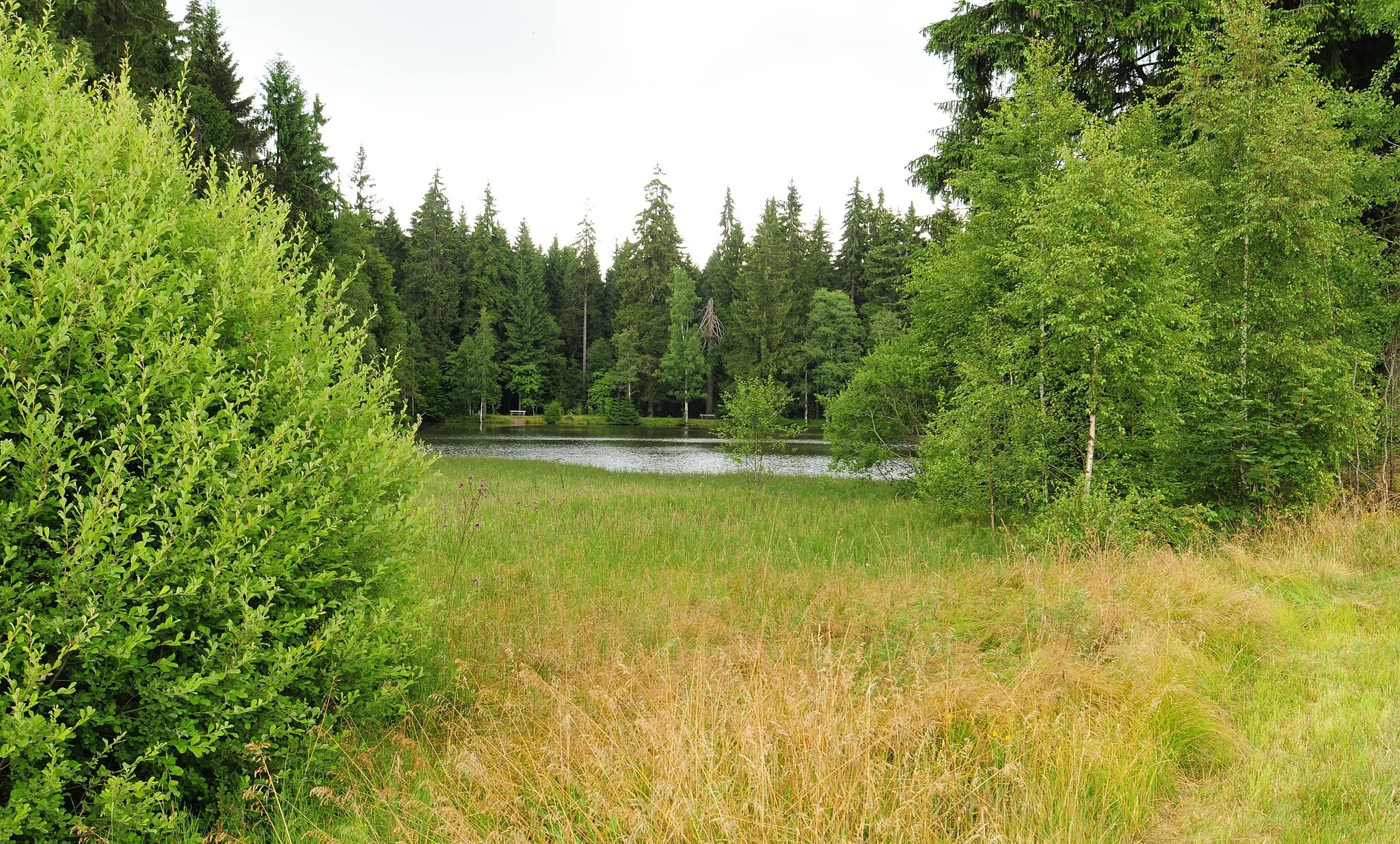 Photo showing: Kottenheide, Blick zum Oberen Muldenteich im Quellgebiet der Weißen Mulde (Stadt Schöneck/Vogtl., Vogtlandkreis, Freistaat Sachsen)