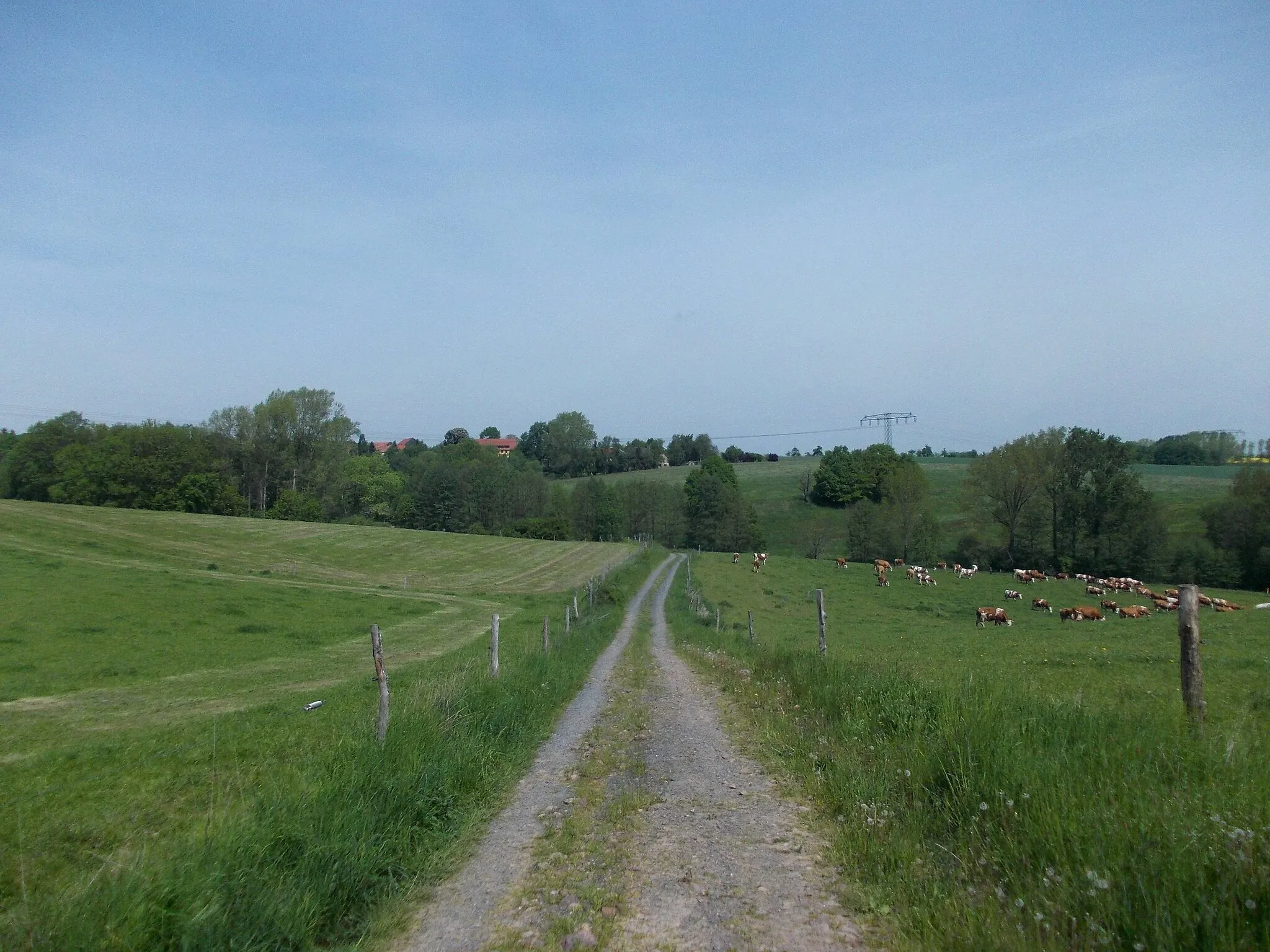 Photo showing: Landscape near Mahlitzsch (Nossen, Meissen district, Saxony)