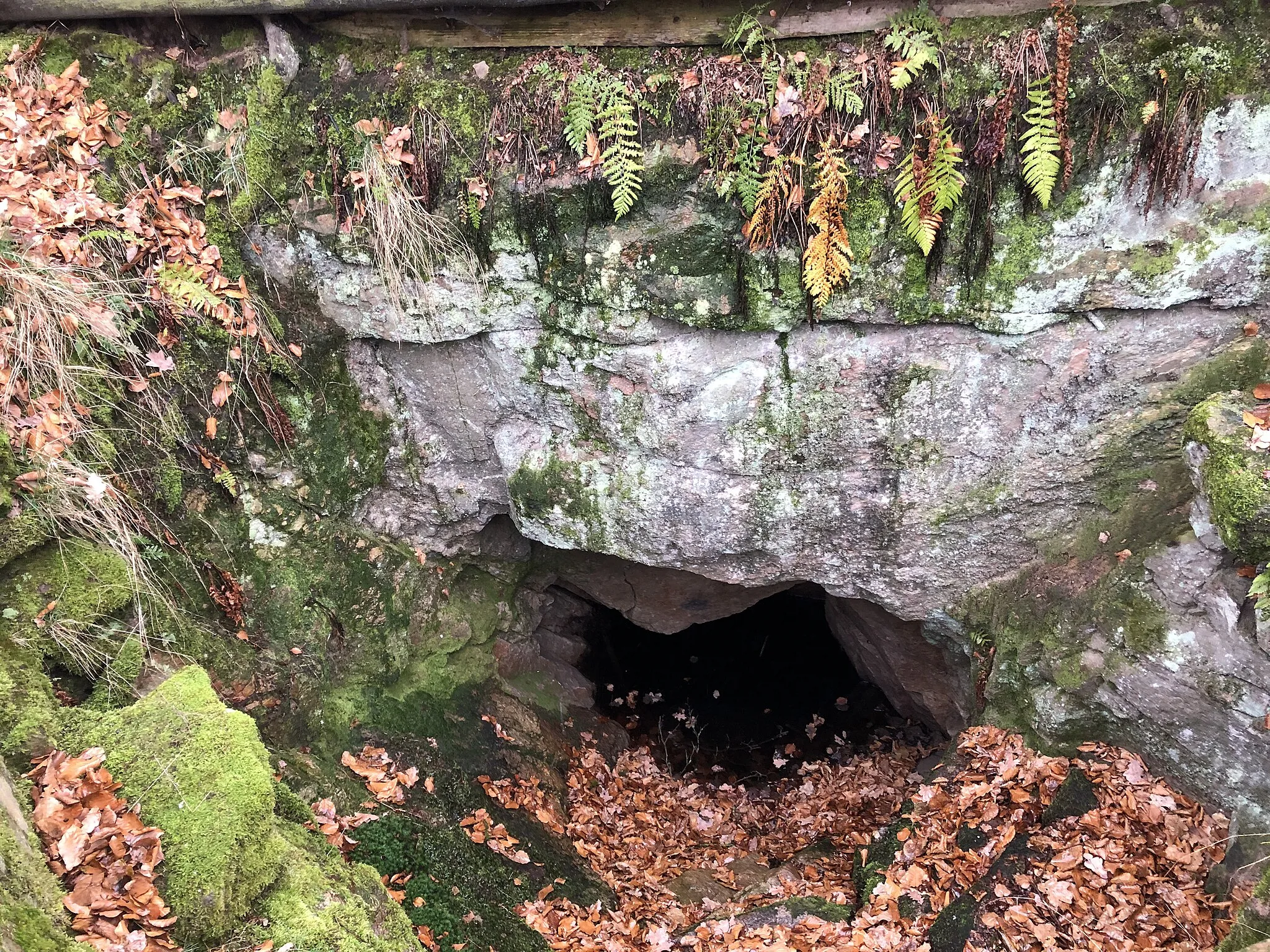 Photo showing: Zisterne auf dem Borberg in Kirchberg