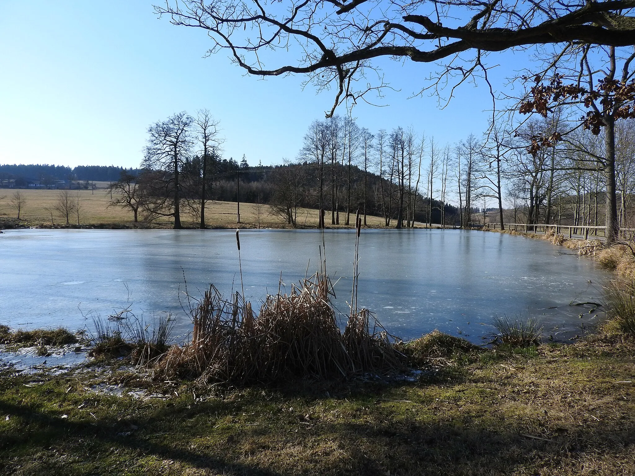 Photo showing: Teich bei Leitlitz, Thüringen