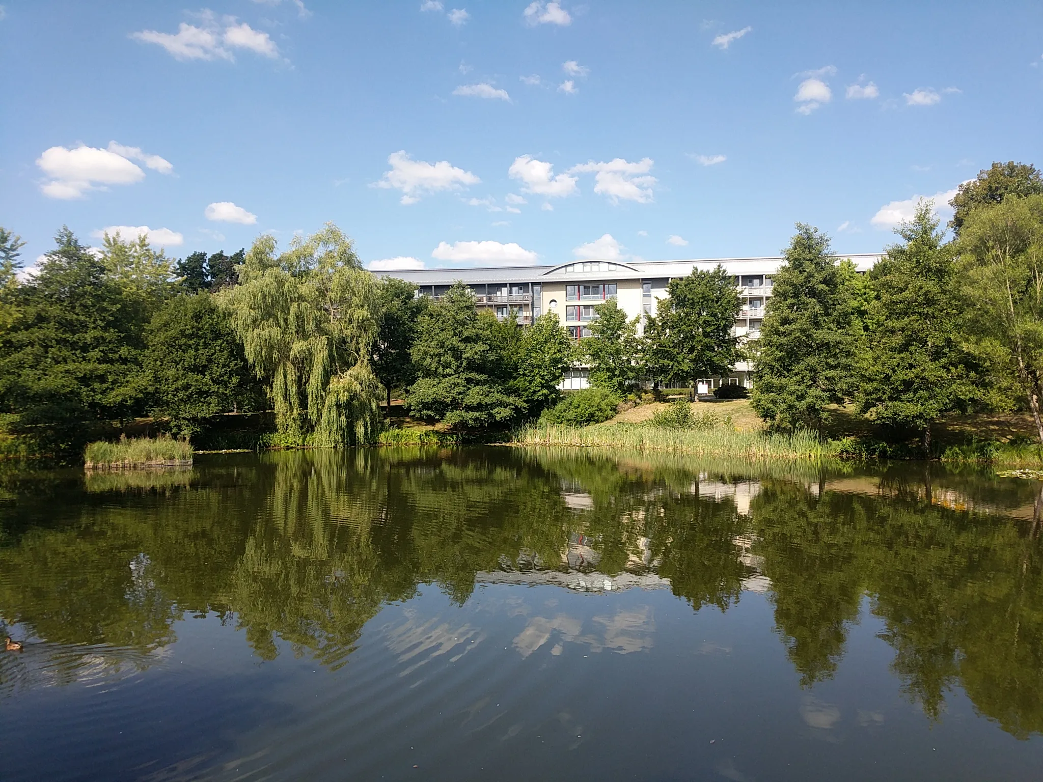 Photo showing: Warmbad (Ortsteil von Wolkenstein), Blick von der Brücke im Teich Richtung Knappschaftsklinik