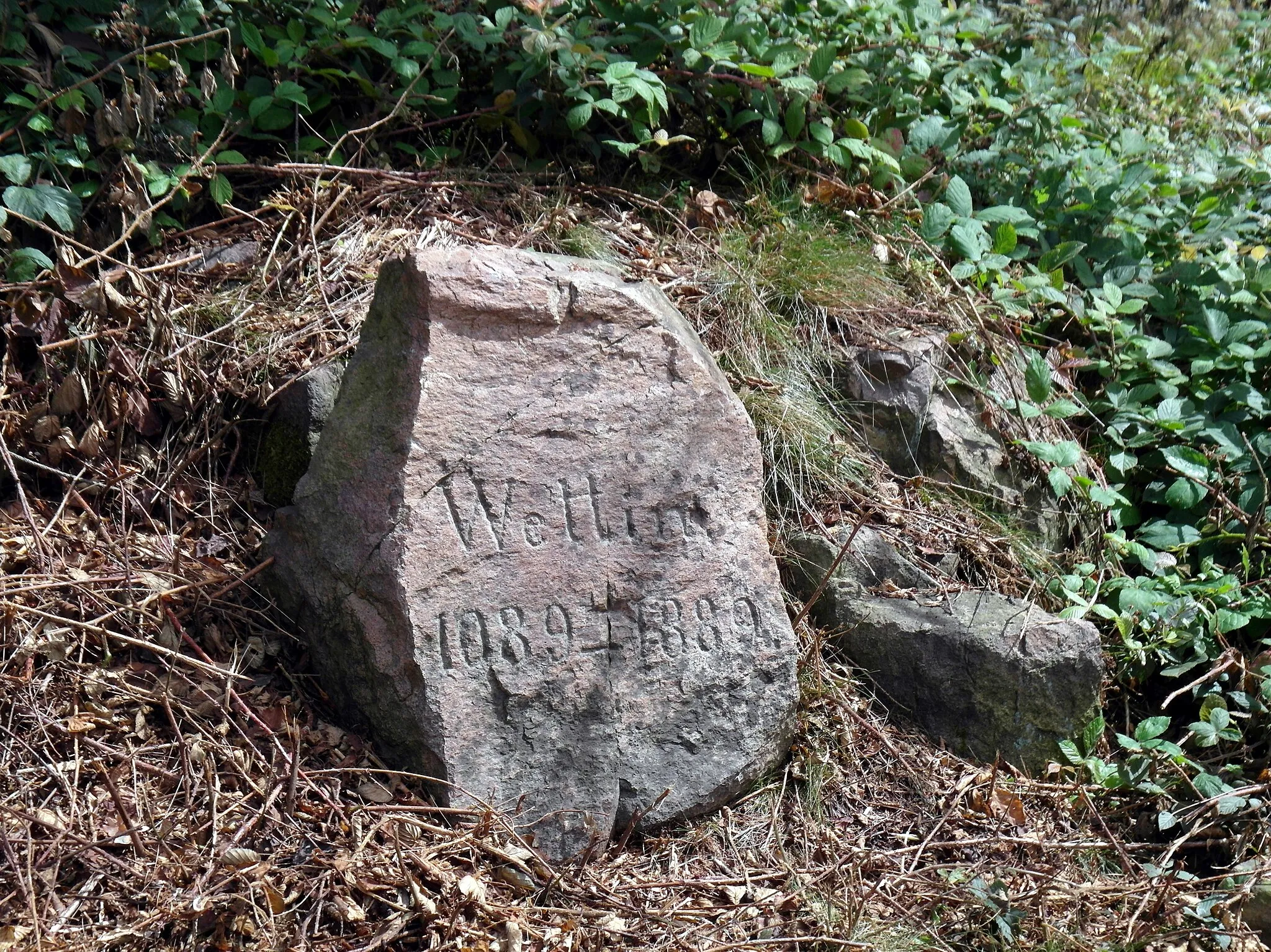 Photo showing: 12.08.2017   09638 Lichtenberg/Erzgebirge: Auf dem Gipfel des Burgberges befand sich die mittelalterliche Höhenburg Lichtenberg (GMP: 50.813046,13.461059). Die Anlage stammt vermutlich aus dem 14. Jahrhundert. Bauwerksteile sind nicht mehr vorhanden, nur noch Wälle und Gräben. Unmittelbar daneben steht dieser Gedenkstein mit der Inschrift „Wettin 1089-1889“ (GMP: 50.812828,13.461061). Markgraf Heinrich I. galt als wichtige Stütze von Kaiser Heinrich IV. im Reich. Als Dank wurde er 1089 mit der Markgrafschaft Meißen belehnt, womit erstmals ein Angehöriger des Hauses Wettin diesen Landstrich regierte. 1889 wurde die 800 jährige Herrschaft 
der Wettiner begangen, woran der Stein erinnert.                                                                                                              [SAM1379.JPG]20170812125DR.JPG(c)Blobelt