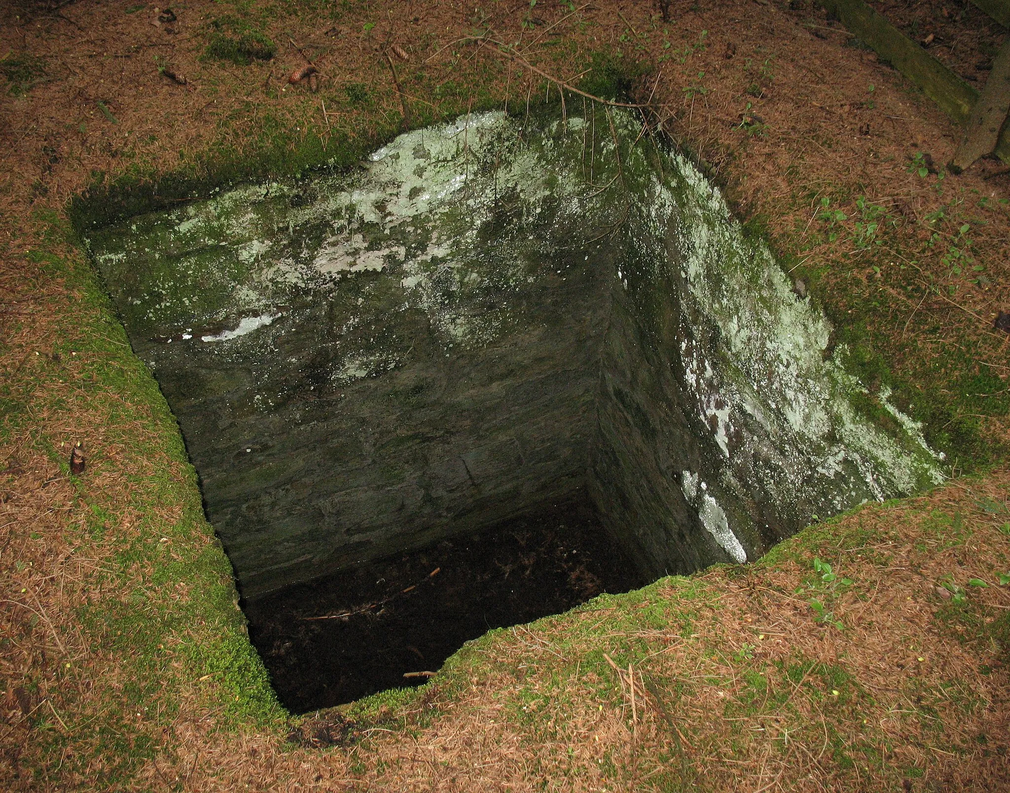 Photo showing: Interior view of Wolf trap near Sehmatal-Neudorf, Erzgebirge