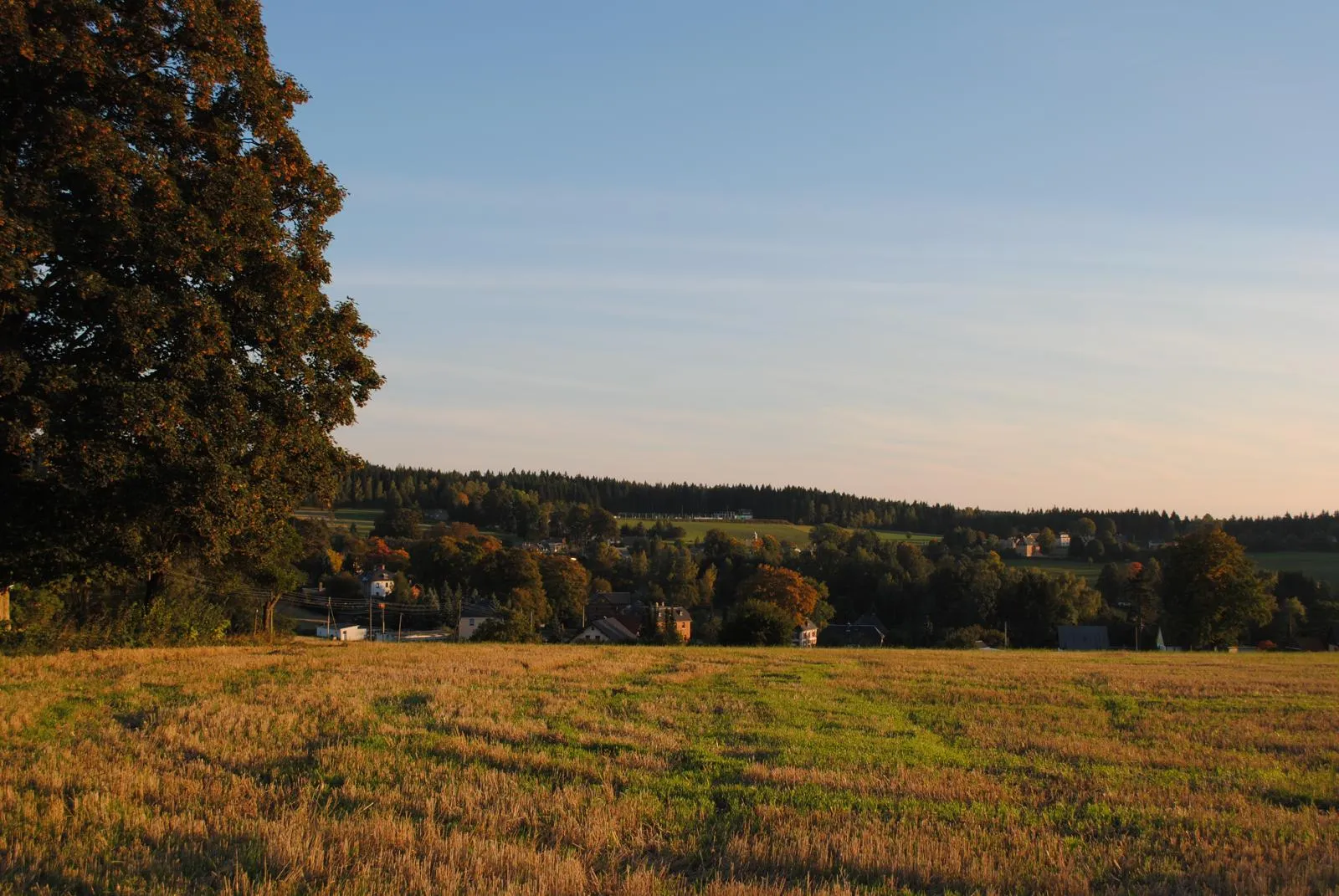 Photo showing: Wernitzgrün (OT von Erlbach), Blick vom Hofgarten