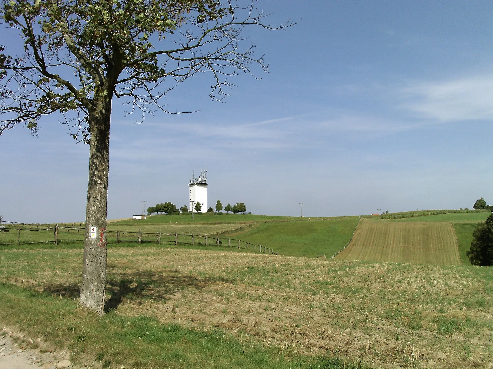 Photo showing: Hohe Reuth hill near Bocka (Greiz district, Thuringia) with A-Tower