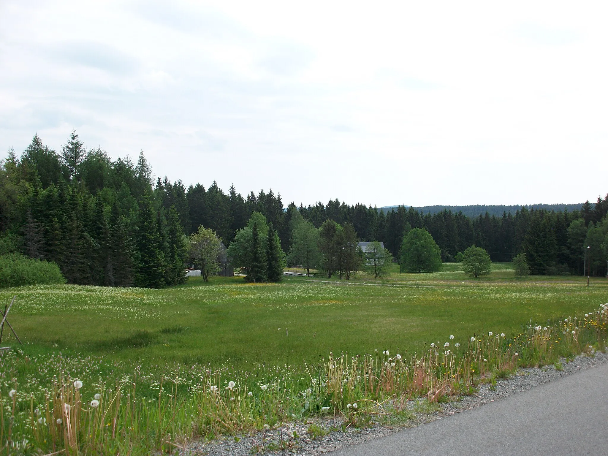 Photo showing: Blick auf Sauschwemme