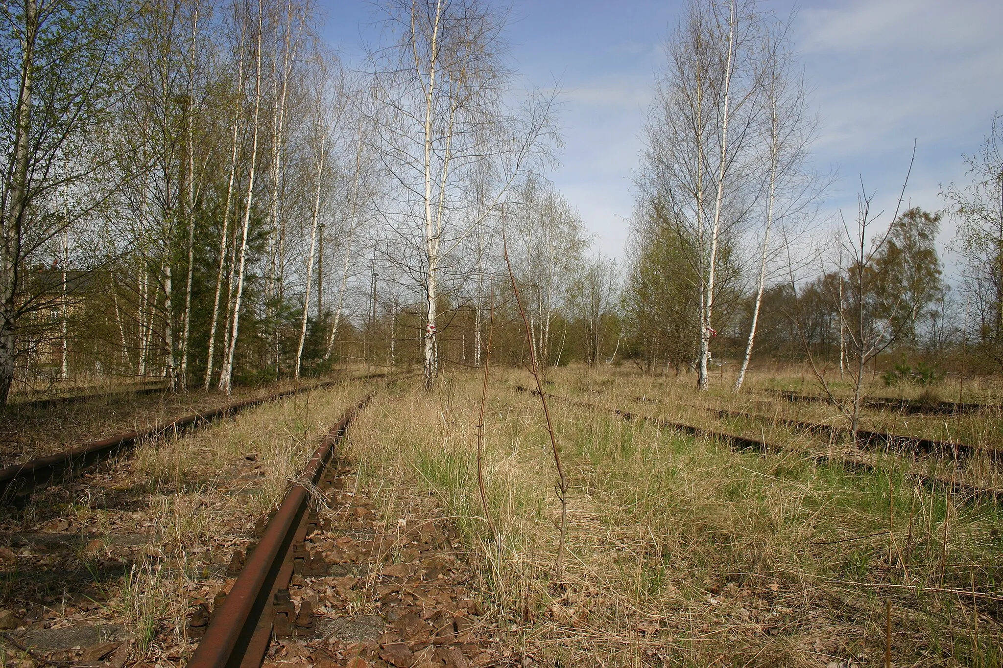 Photo showing: Bahnhofsgelände im Frühjahr 2012