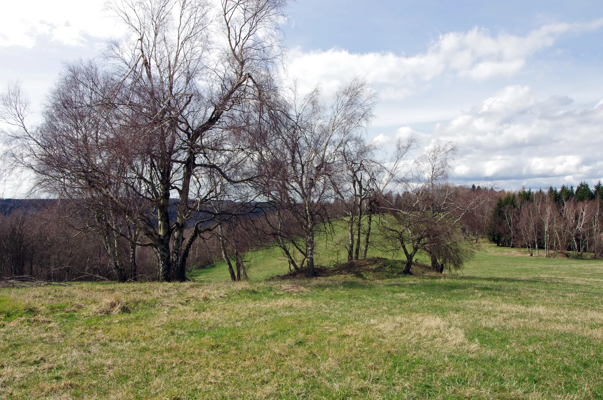 Photo showing: Boučský vrch - 667 m n. m., Krušné hory, okres Sokolov