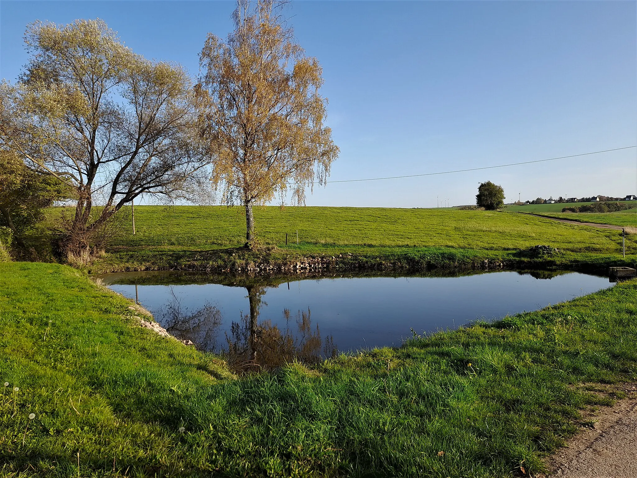 Photo showing: Teich in Theesdorf
