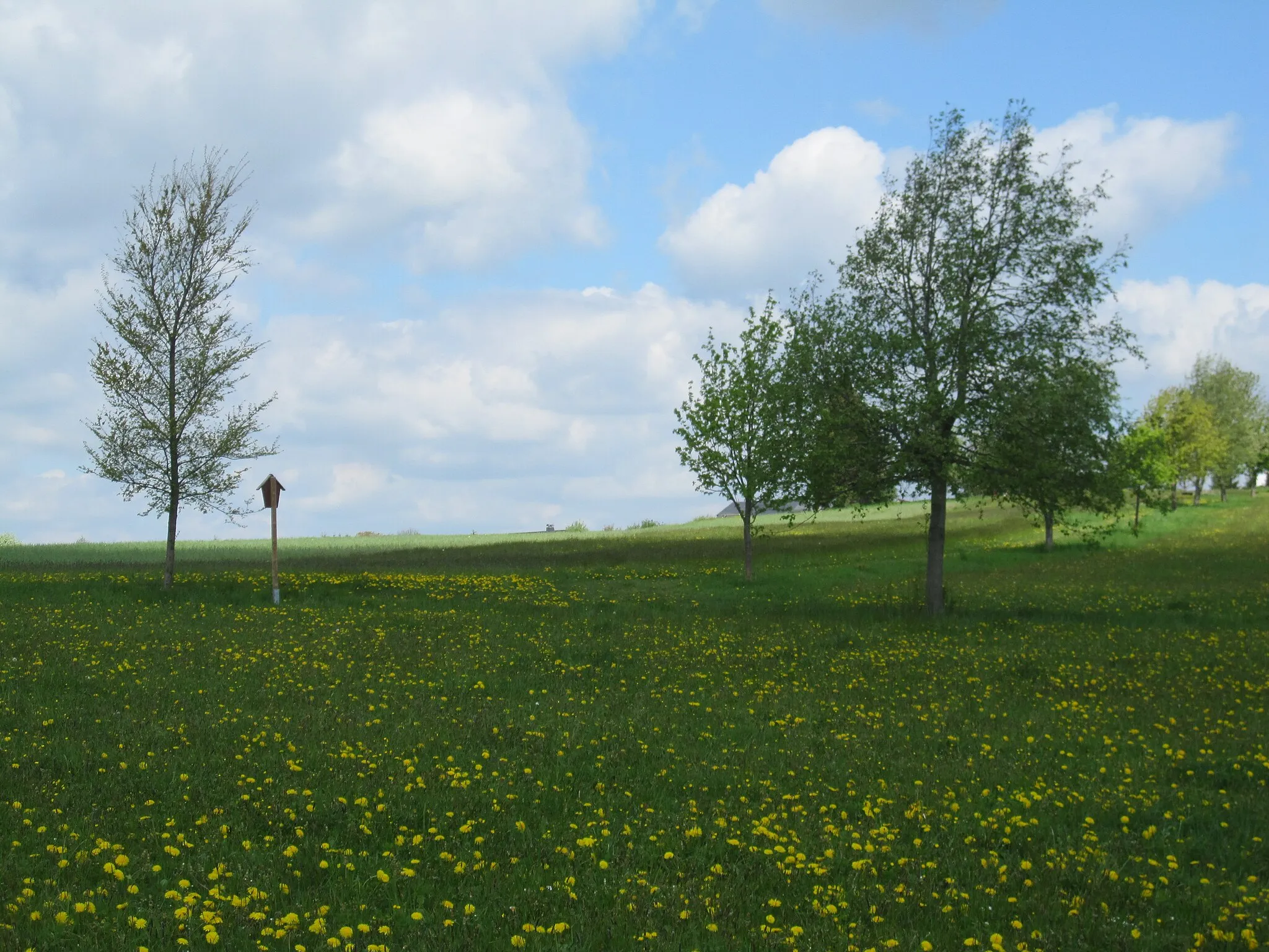 Photo showing: Das Naturschutzgebiet Moore südlich von Schönheide entstand 2013 durch eine Verordnung des Erzgebirgskreises.

Oberer Rand des Naturschutzgebietes (links Schild!) ein Stück unterhalb des Baumannsberges (725,5 Meter), der ein Stück östlich des Wasserturms liegt.