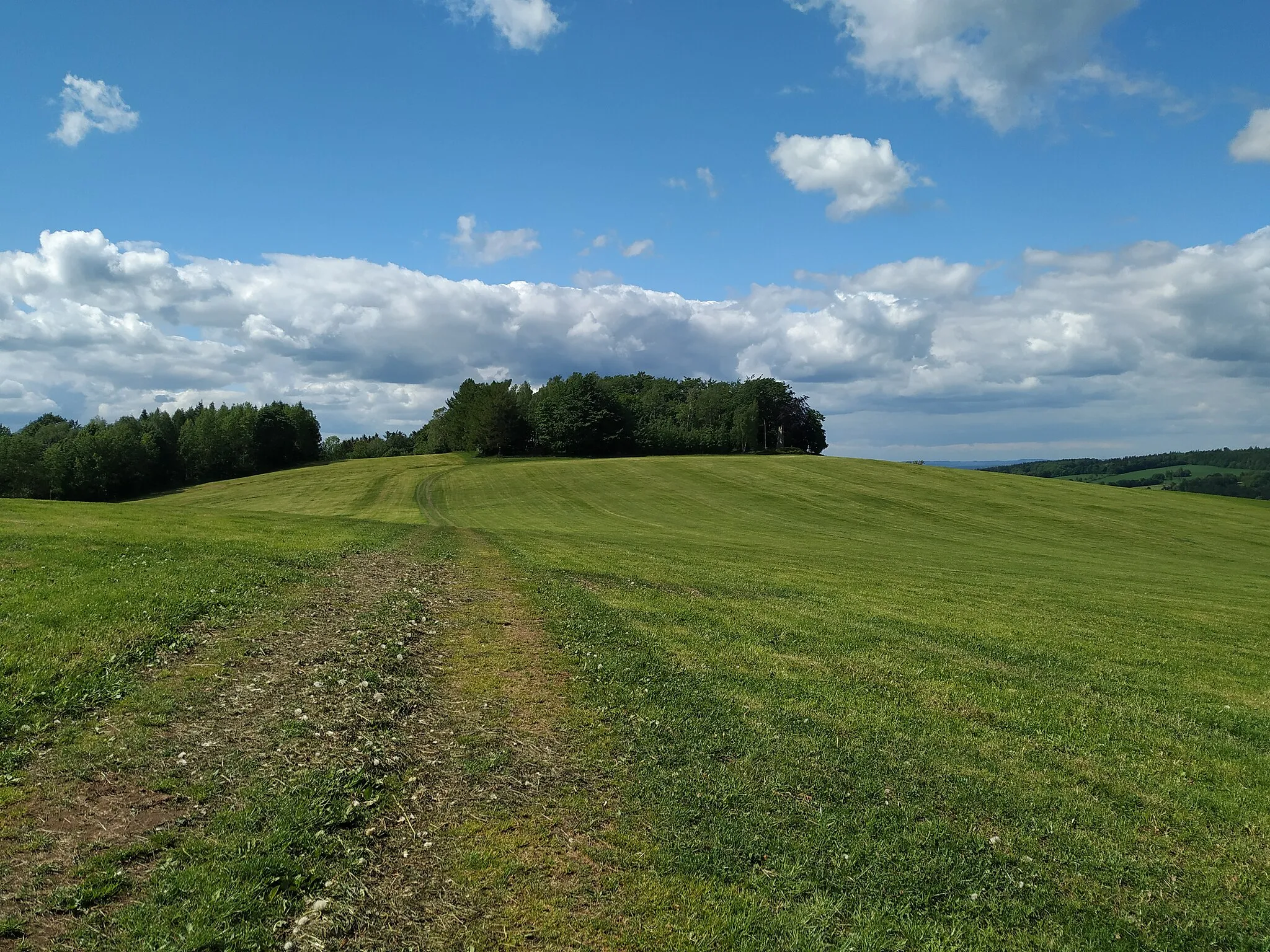 Photo showing: Blick vom Fritzschotenbüschel zur Morgensternhöhe in Marienberg