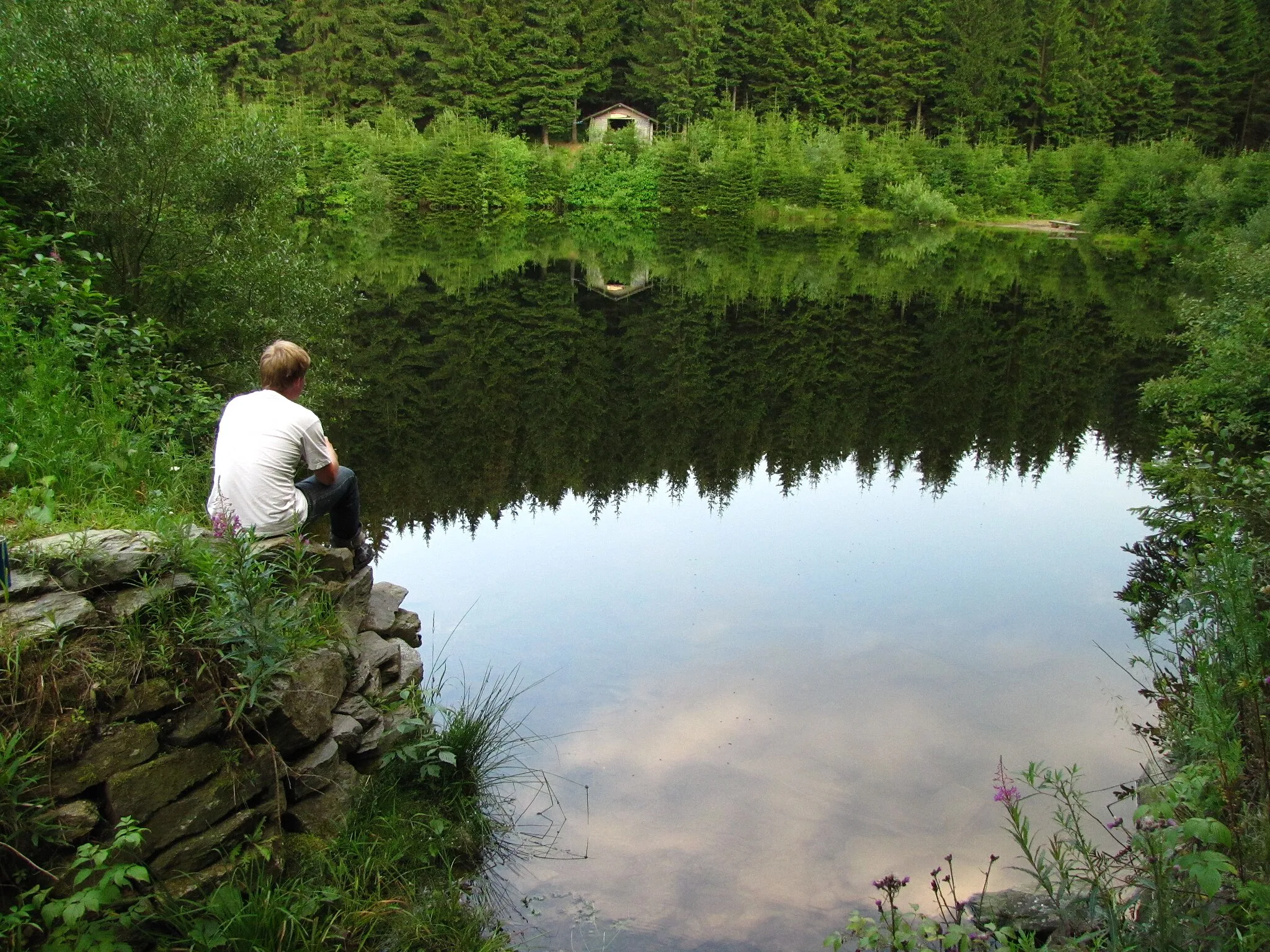 Photo showing: Flößerteich an der Vierenstraße am Fuß des Fichtelbergs, Landschaftsschutzgebiet c 22