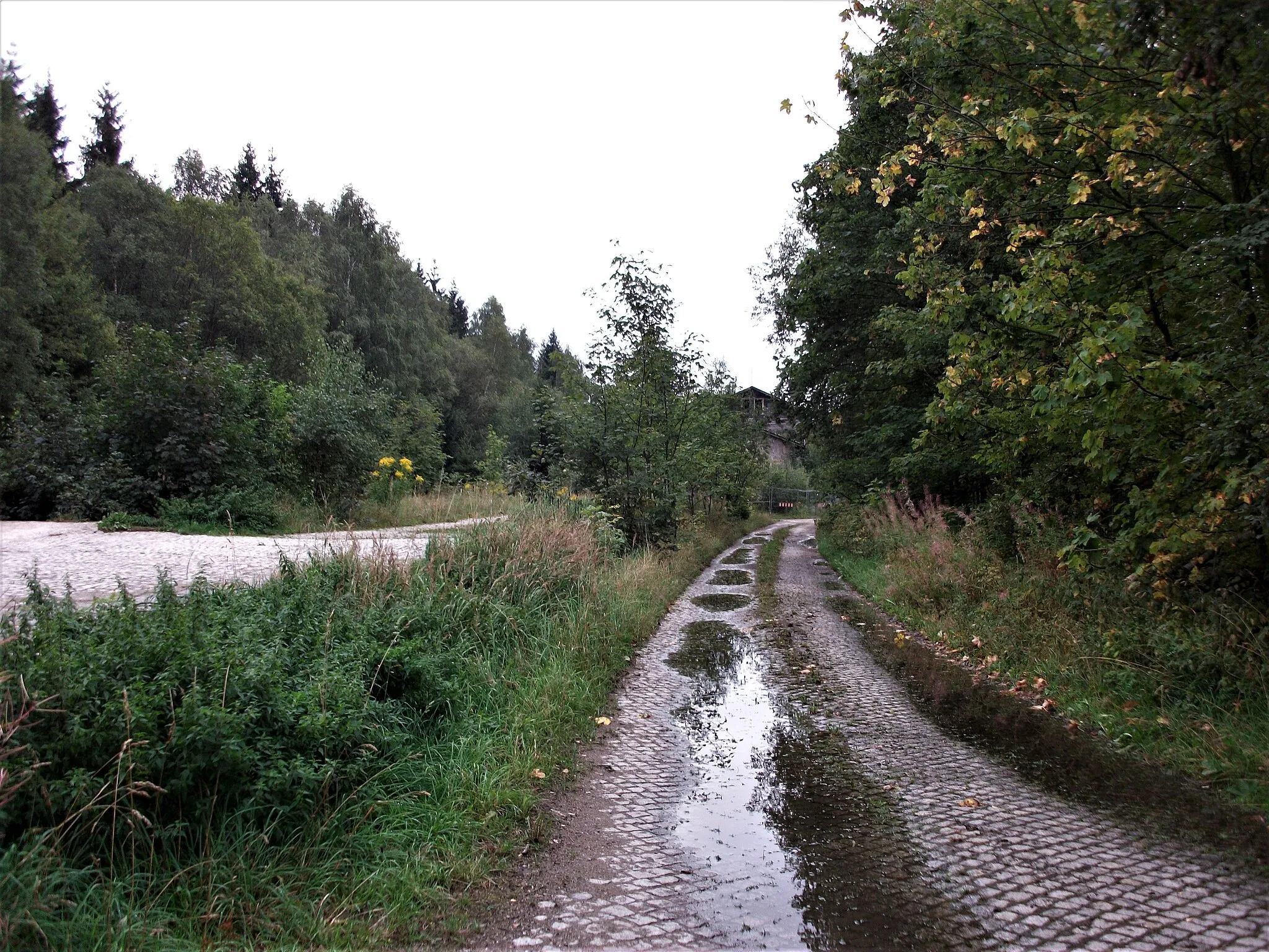 Photo showing: Bahnhof Marienberg-Gelobtland (2019)