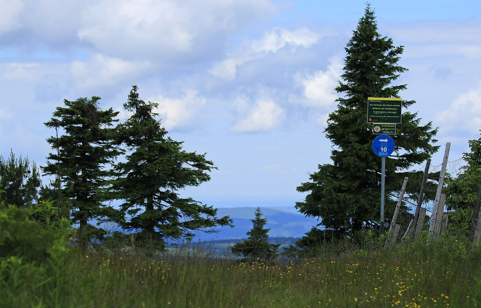 Photo showing: Naturpark Erzgebirge/Vogtland. Fauna-Flora-Habitat-Gebiet Fichtelbergwiesen (FFH-Nr. 5543-304).