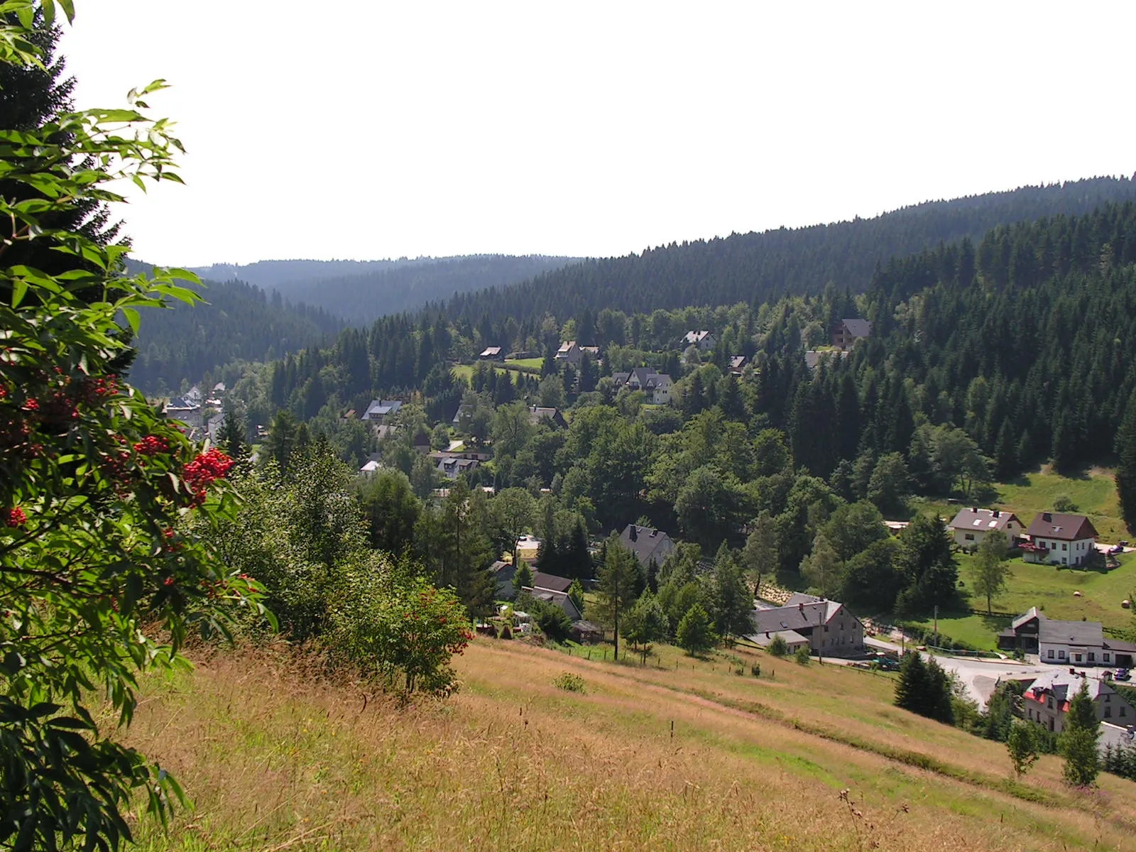 Photo showing: Wildenthal am Fuße des Auersberges,
Urheber: --Der WildenThaler