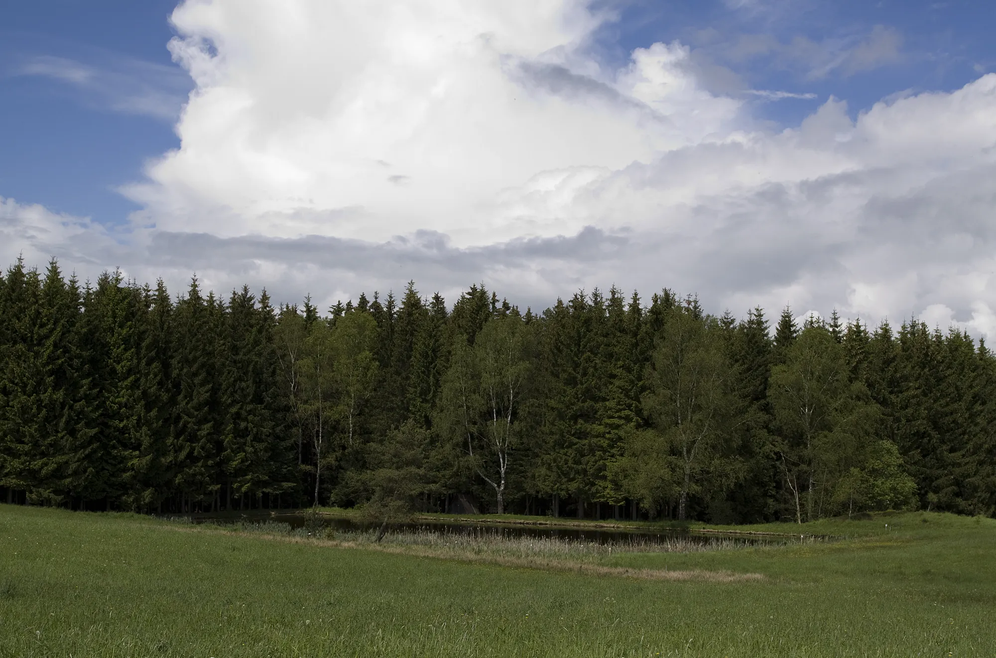 Photo showing: Teich in Hundshübel 30-05-2010