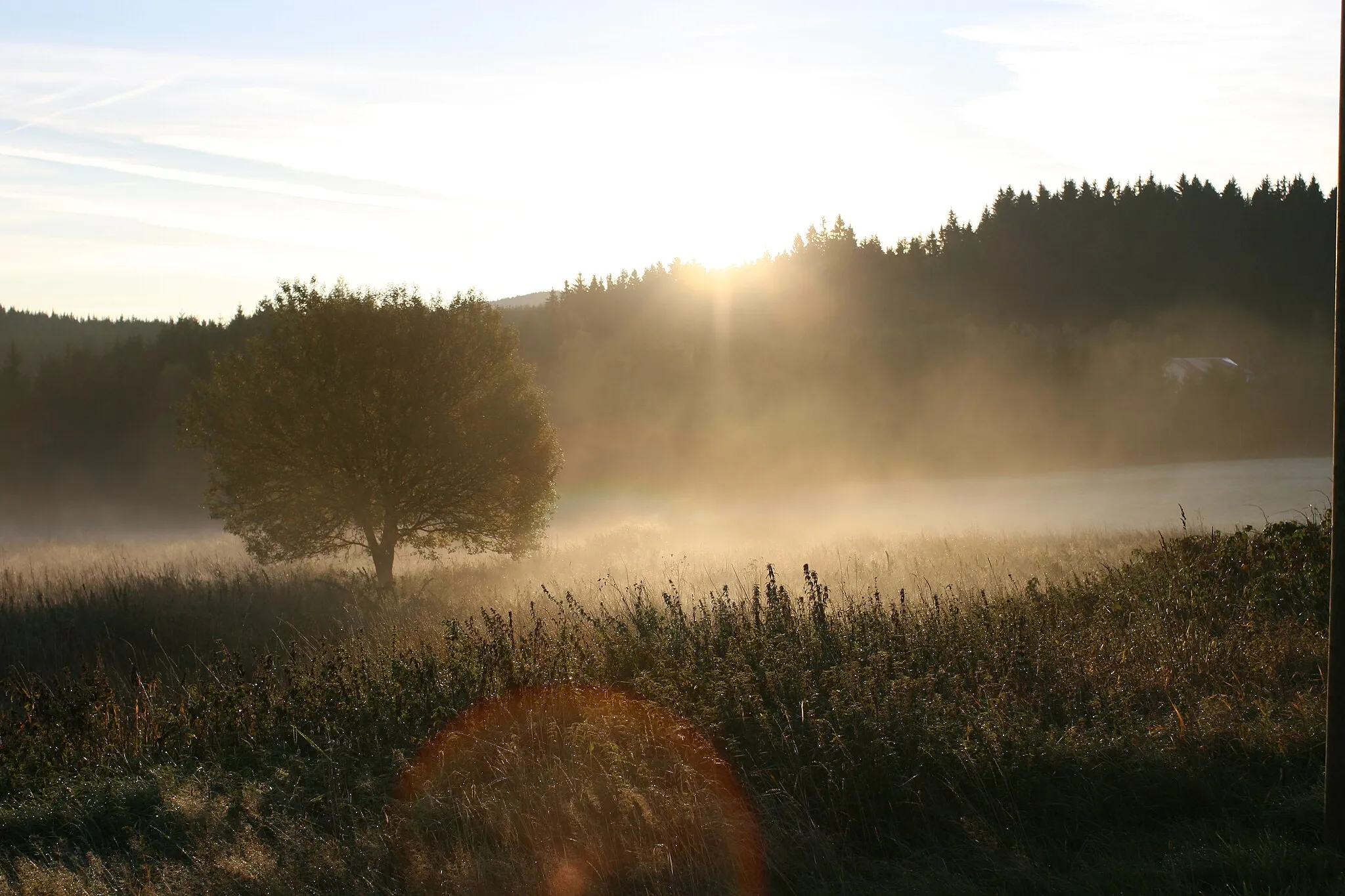 Photo showing: "Morgensonne"