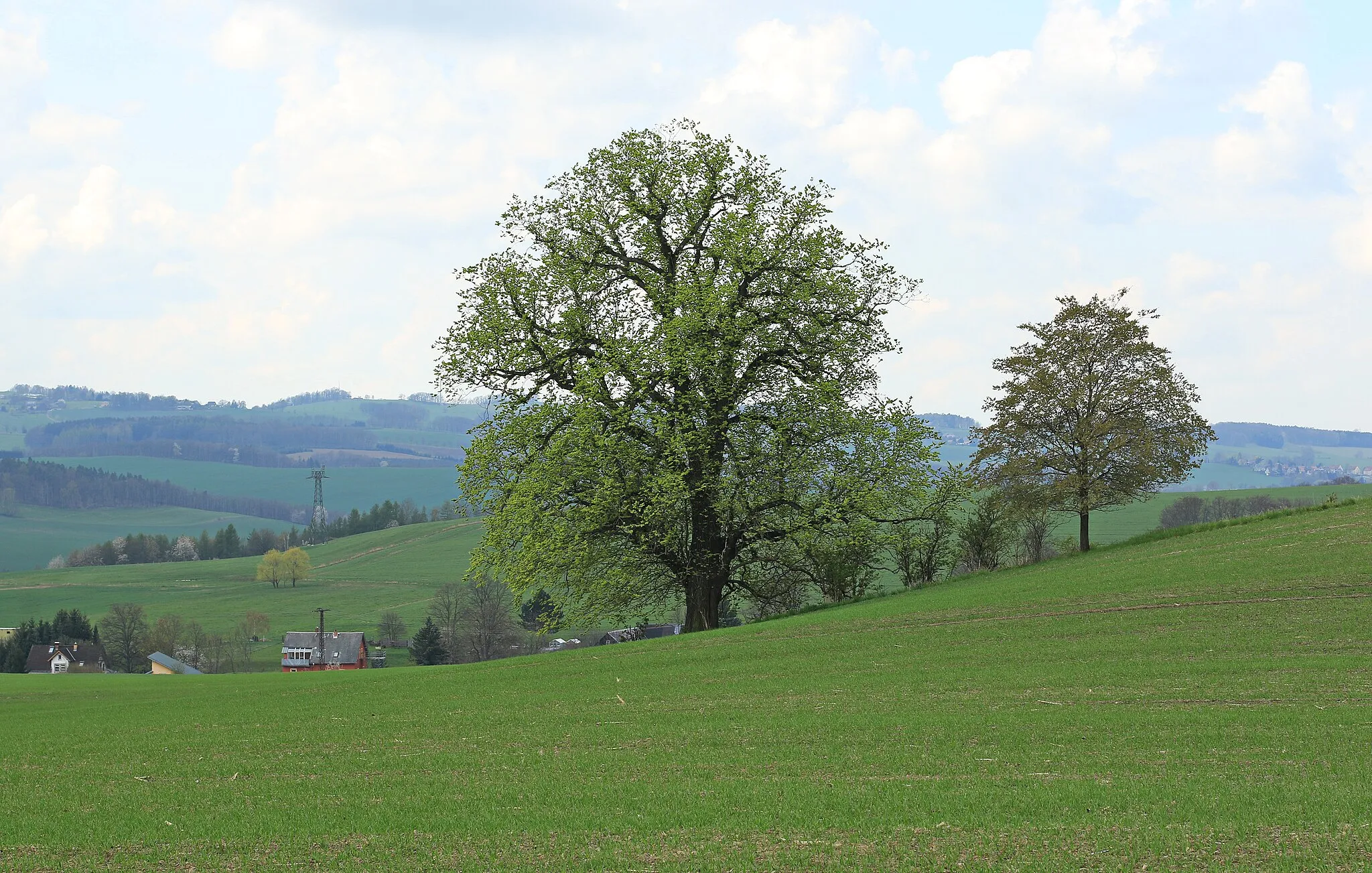 Photo showing: Landschaftsschutzgebiet „Wildenfelser Zwischengebirge“ an der K 9306 zwischen Wildenfels und Grünau, Landkreis Zwickau, Sachsen.