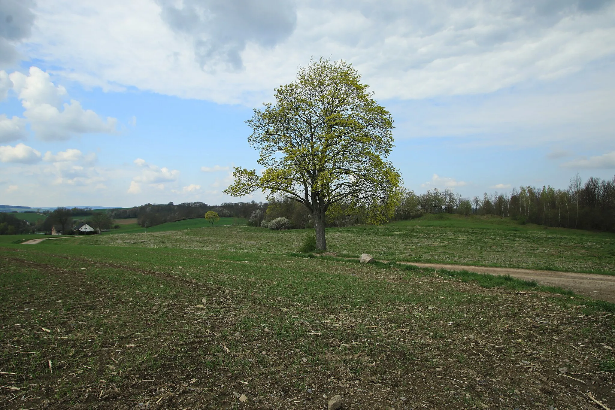 Photo showing: Landschaftsschutzgebiet „Wildenfelser Zwischengebirge“ an der K 9306 zwischen Wildenfels und Grünau, Landkreis Zwickau, Sachsen.