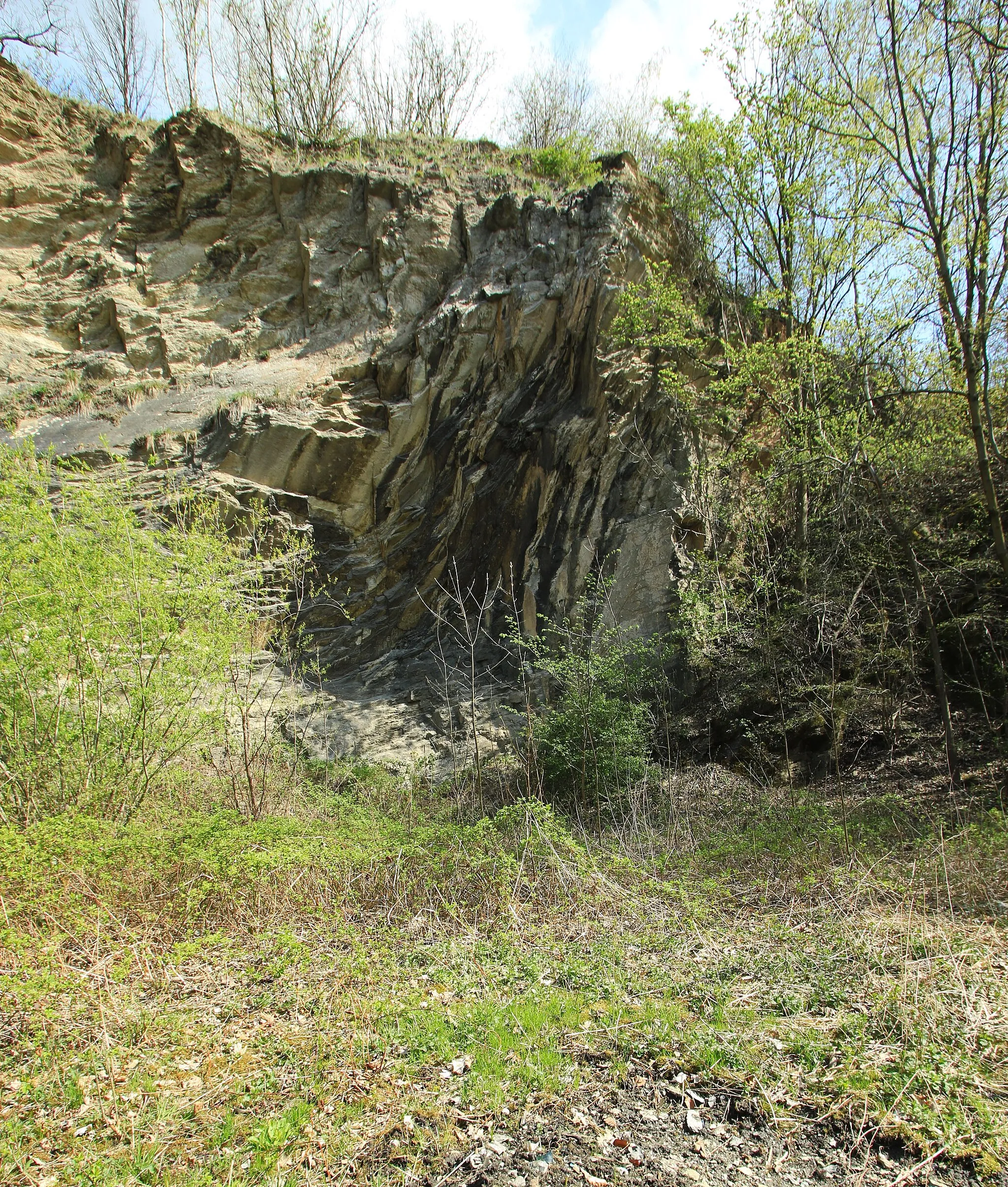 Photo showing: FFH-Gebiete-Häslich-Bruch an der K 9306 zwischen Wildenfels und Grünau, Landkreis Zwickau, Sachsen.