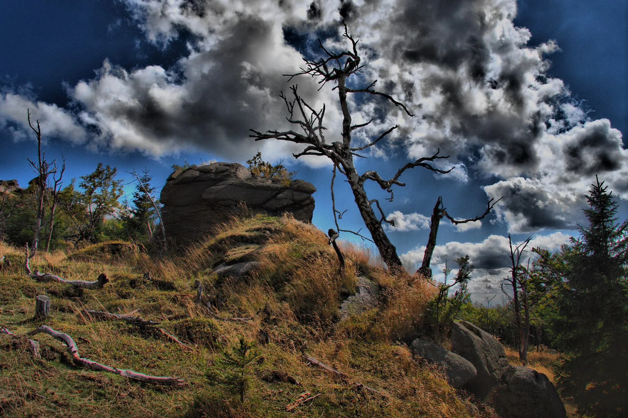 Photo showing: Sunny Afternoon in the Ore Mountains