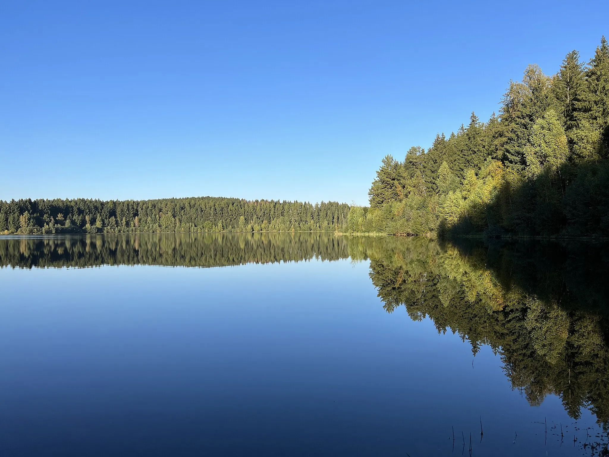 Photo showing: Natur Himmel Wasser  Wald