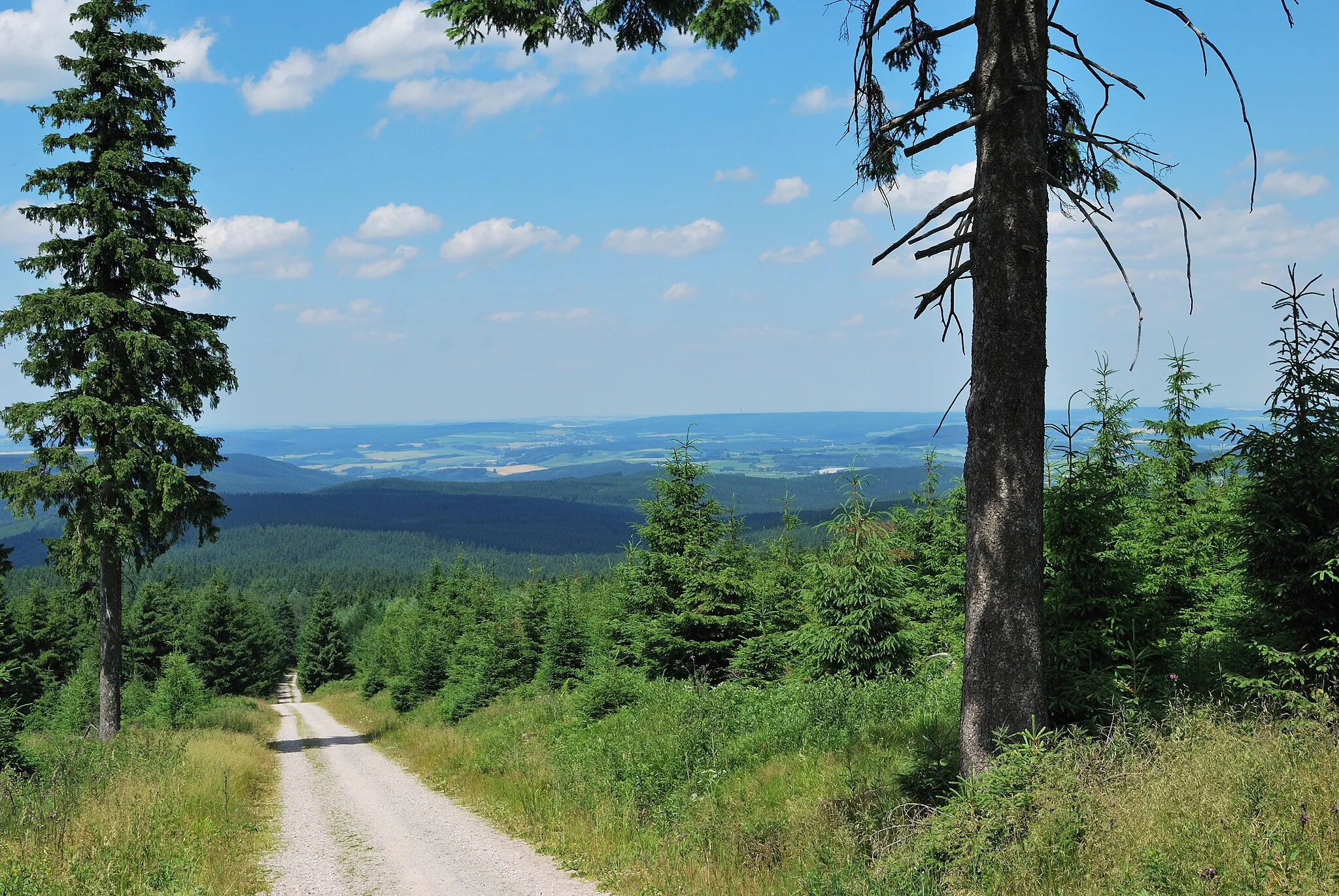 Photo showing: Descent from the Fichtelberg. View in northern direction to Crottendorf. Saxony in Germany.