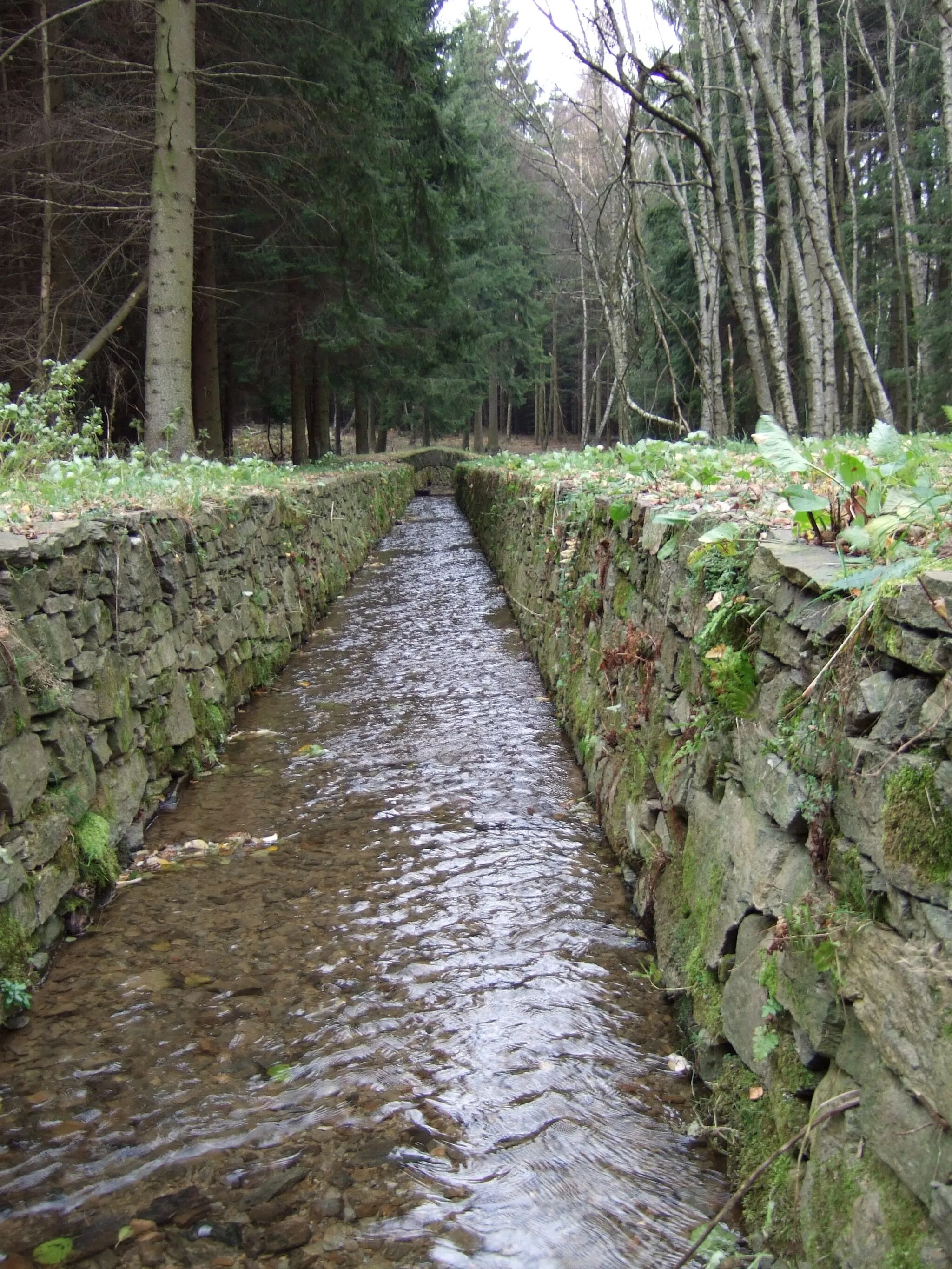 Photo showing: open Zethauer Kunstgraben between Helbigsdorfer Siedlung and Zethau, an aqaeduct for suppling mines with water to operate machines