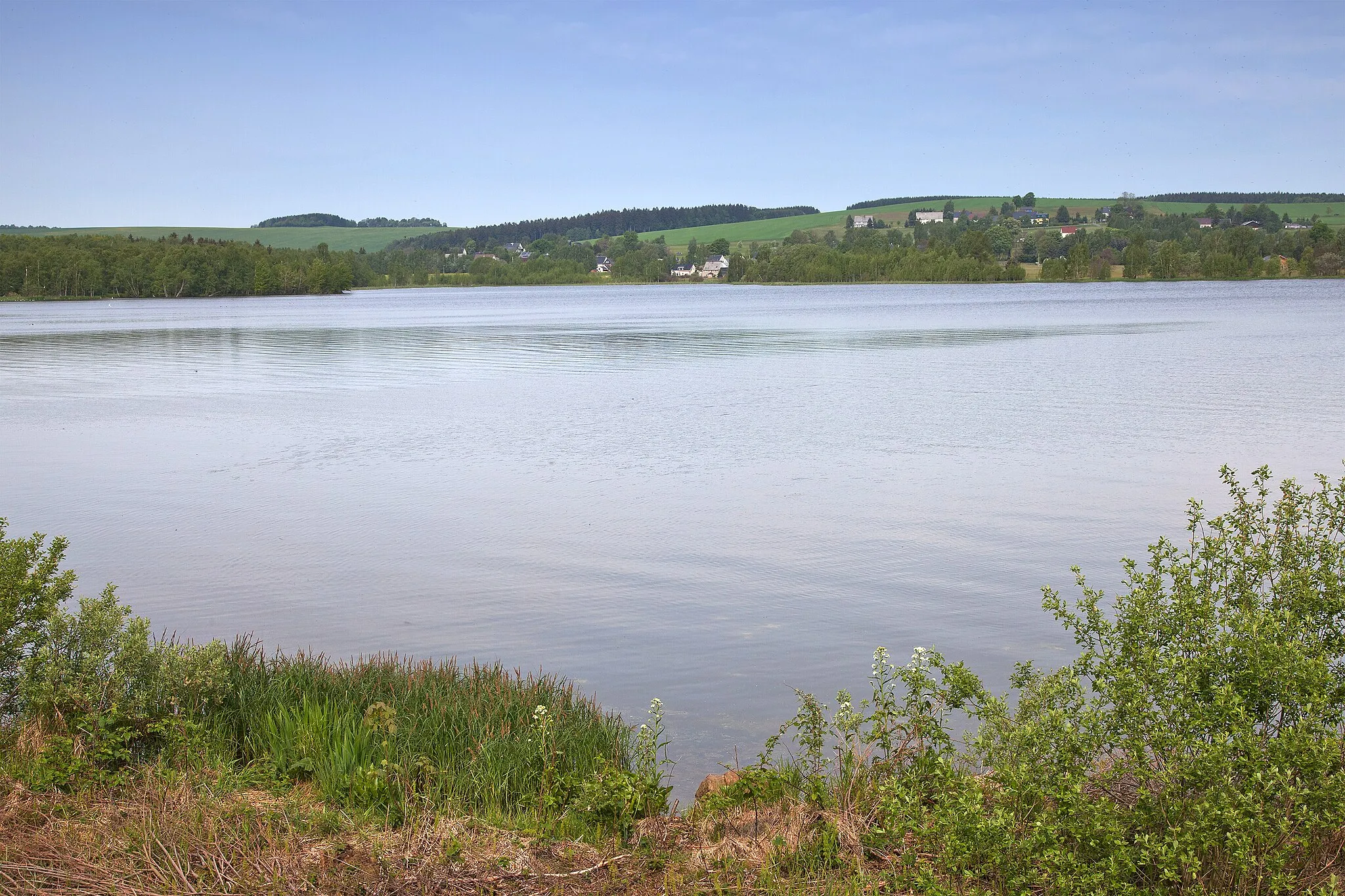 Photo showing: Großhartmannsdorf, lake "Unterer Großhartmannsdorfer Teich"