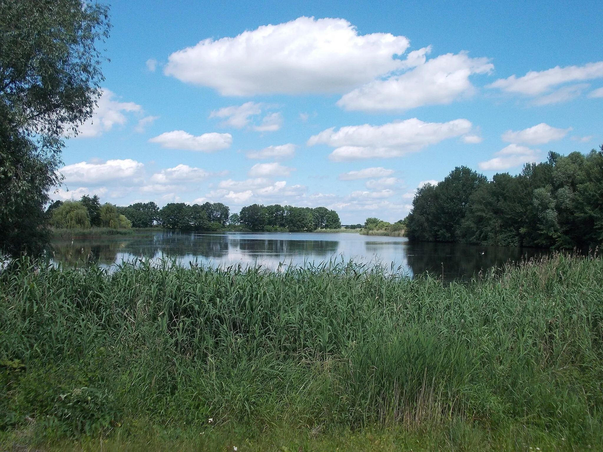 Photo showing: Grossteich pond in Fremdiswalde (Grimma, Leipzig district, Saxony)