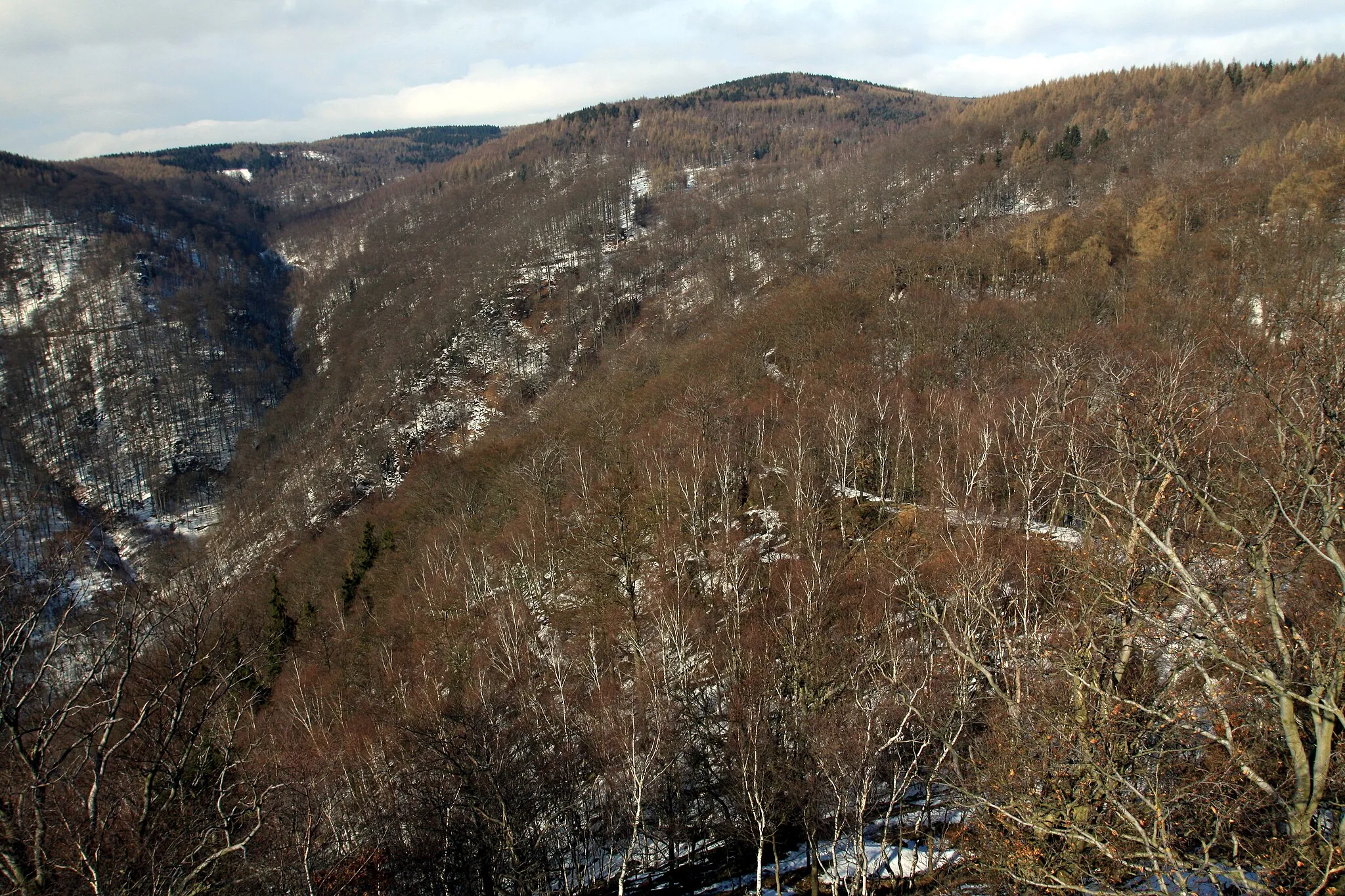 Photo showing: National nature reserve Jezerka near Horní Jiřetín in Most District, Czech Republic