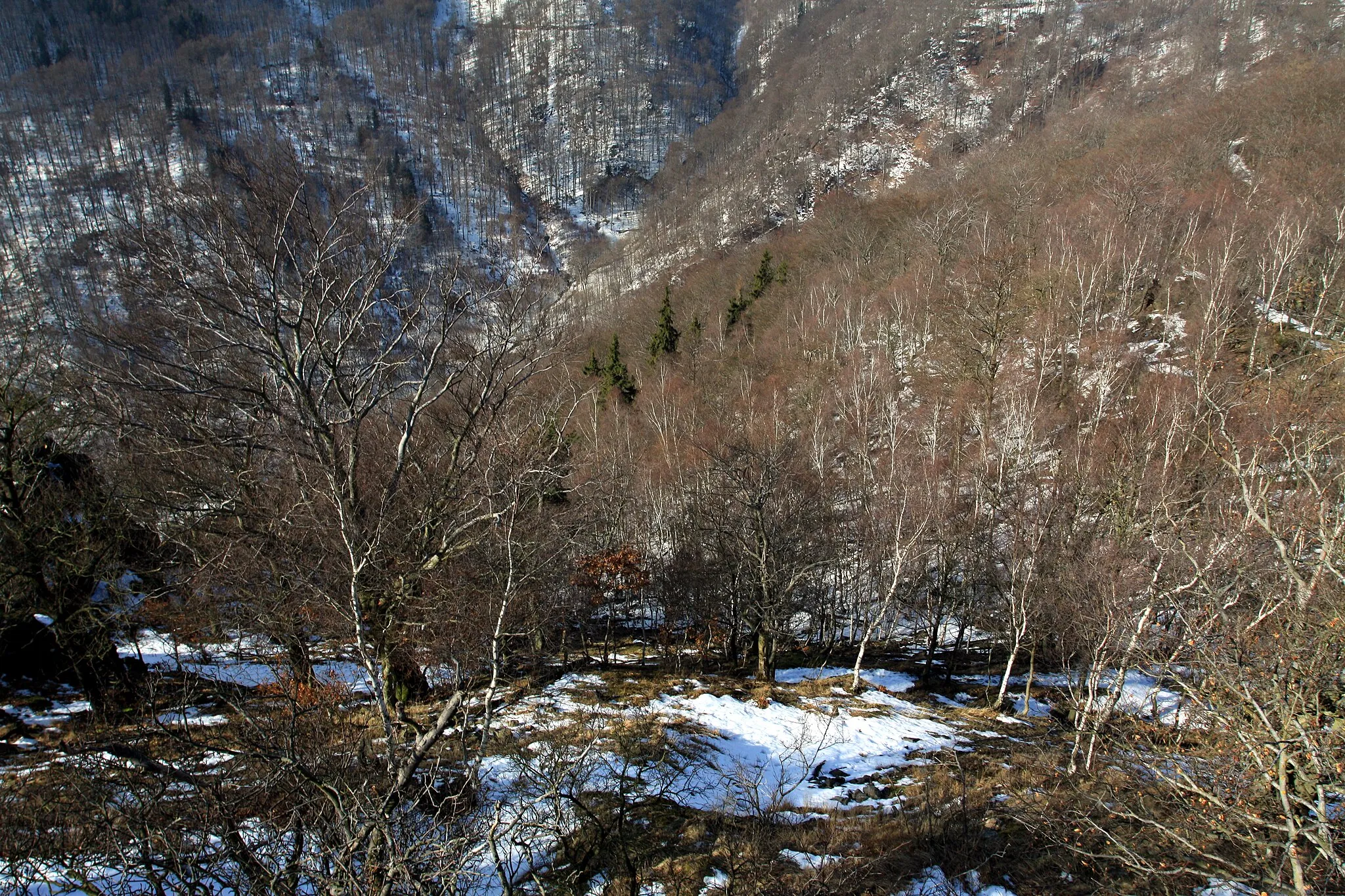 Photo showing: National nature reserve Jezerka near Horní Jiřetín in Most District, Czech Republic