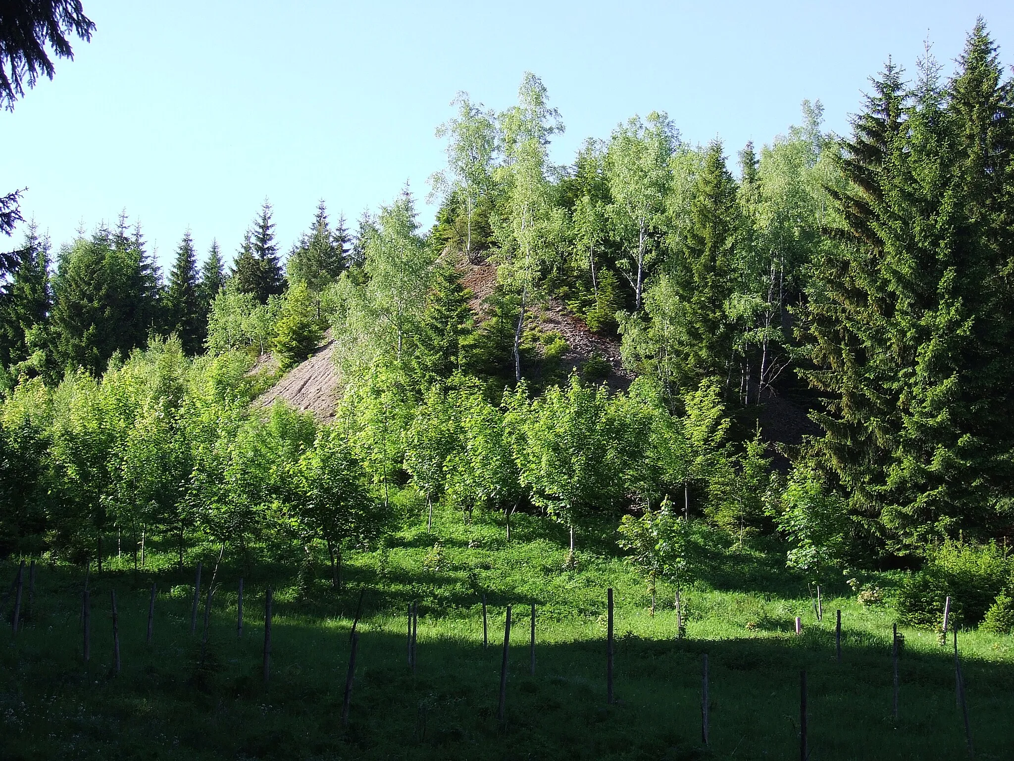 Photo showing: Schneckensteinrevier: Halde der Schürfe 20 und 21